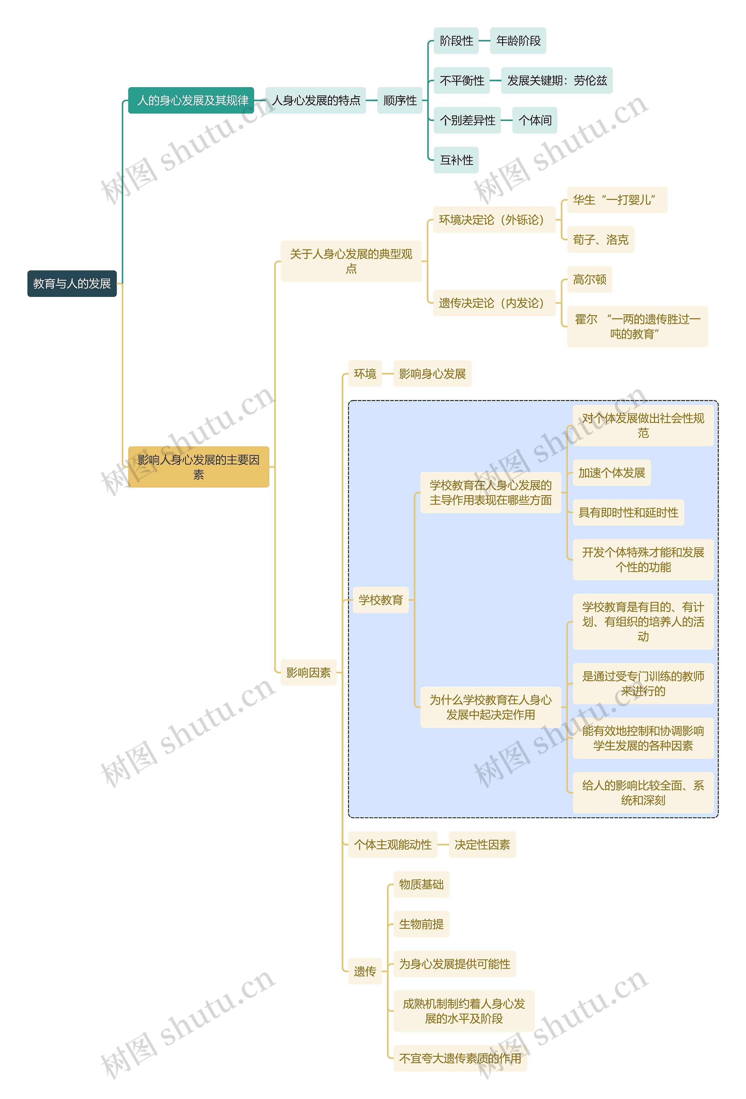 初中教育教育与人的发展思维导图