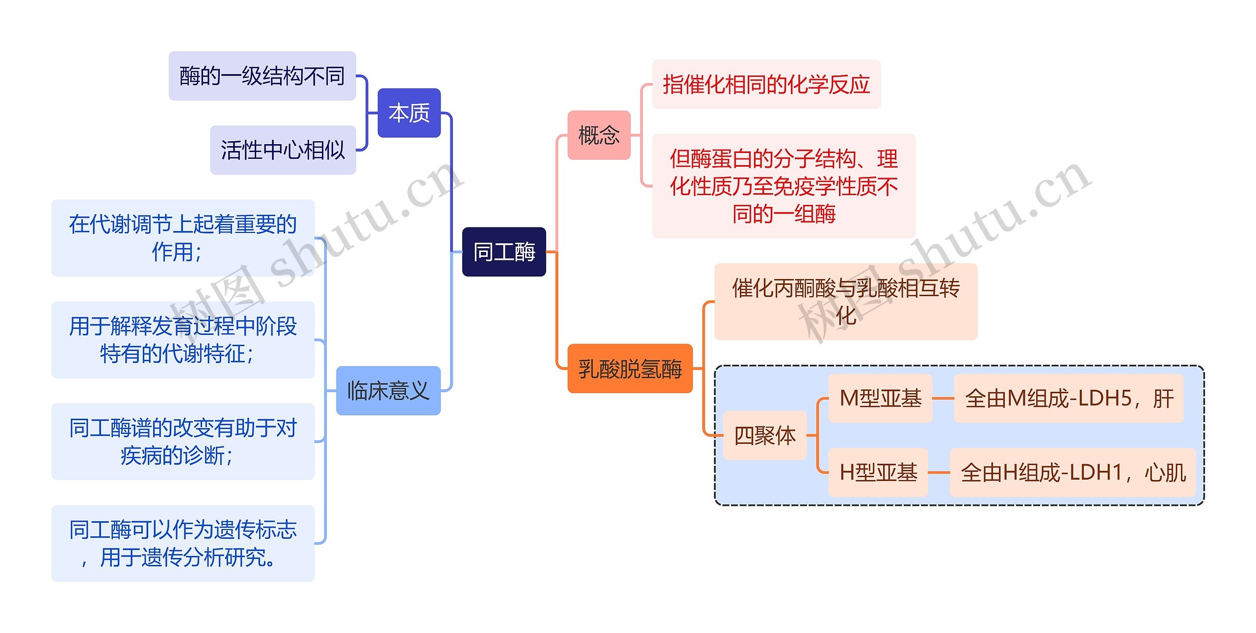 生化知识同工酶思维导图