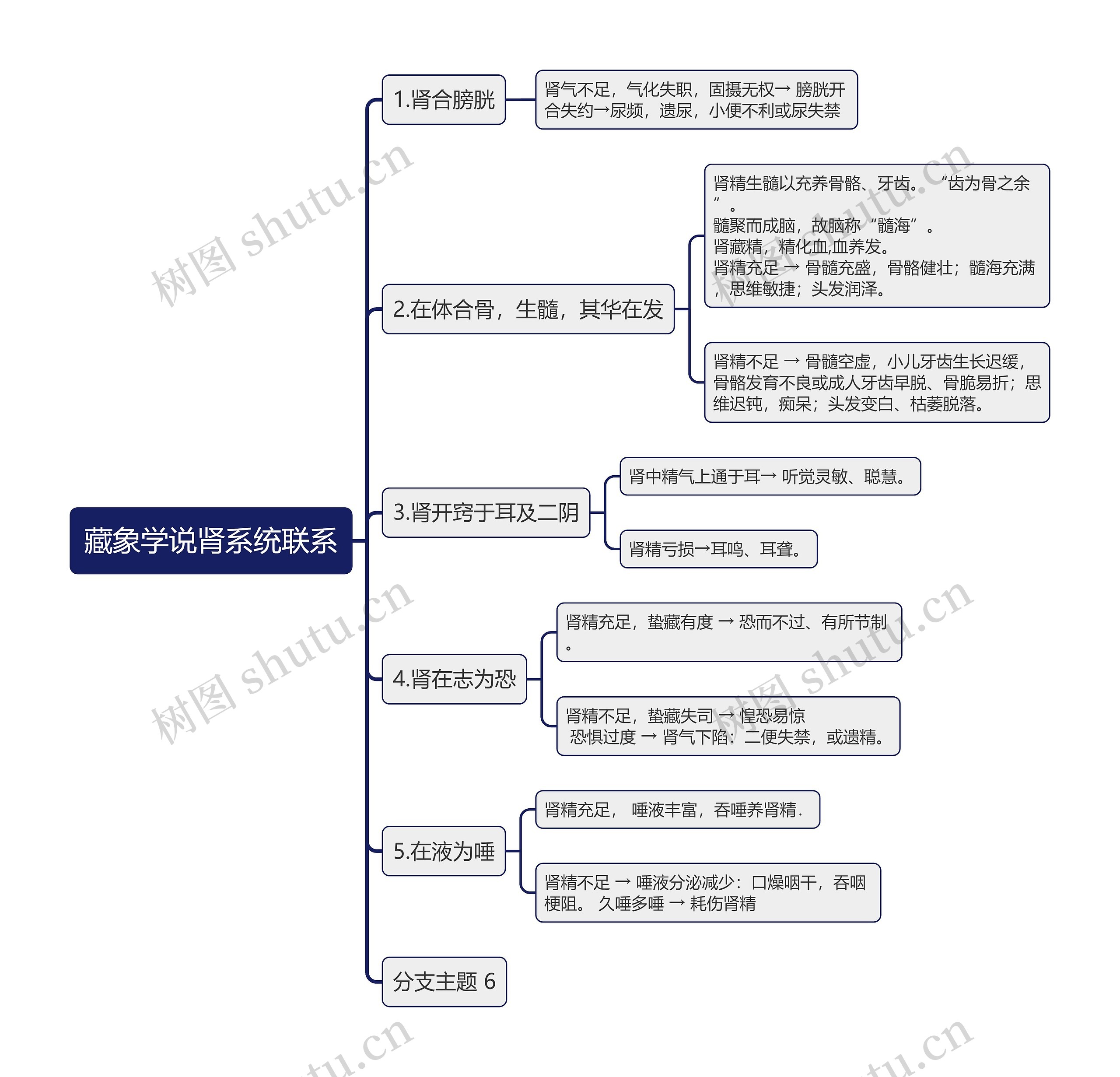 藏象学说肾系统联系思维导图