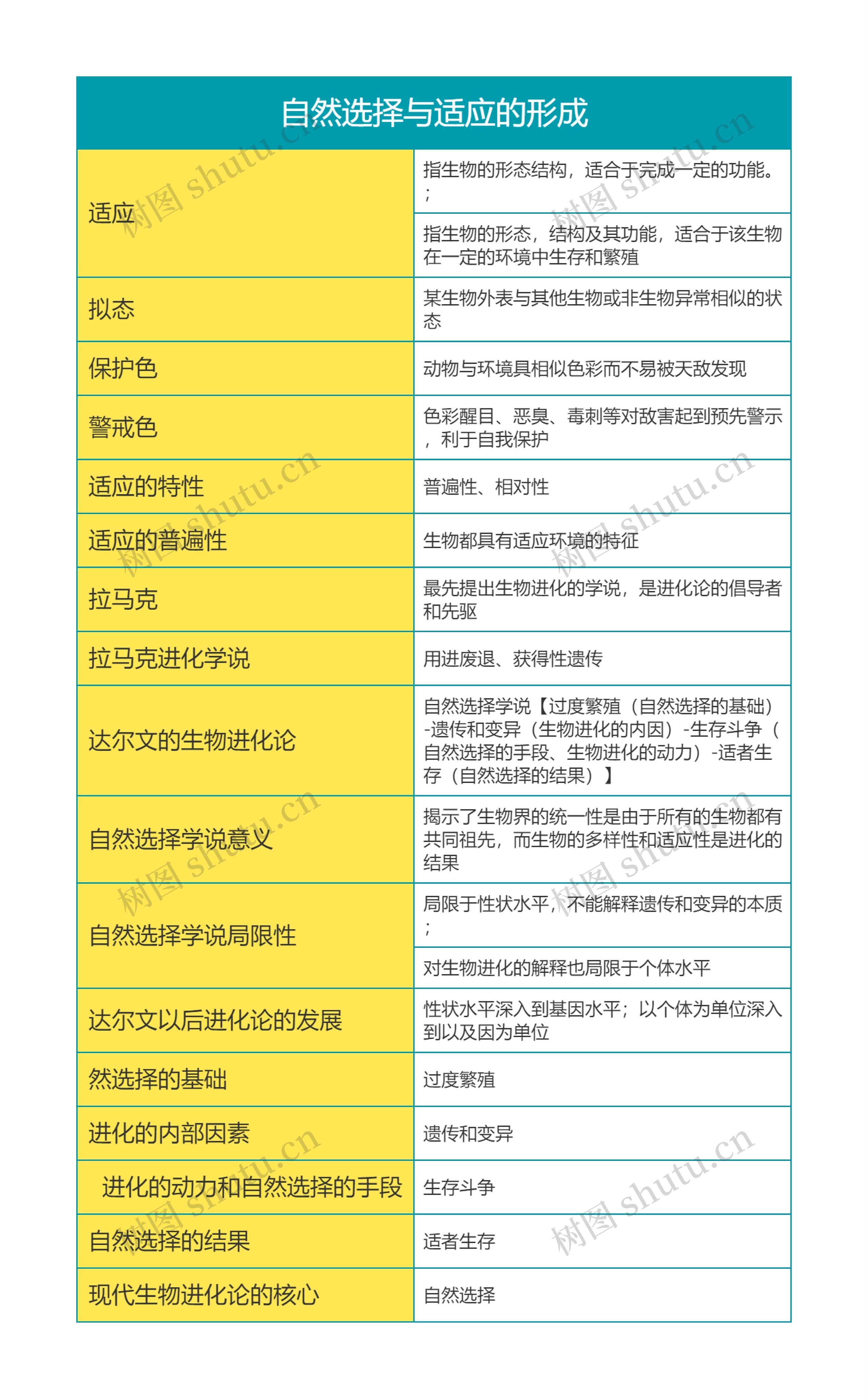 高中生物必修二第六单元自然选择与适应的形成思维导图