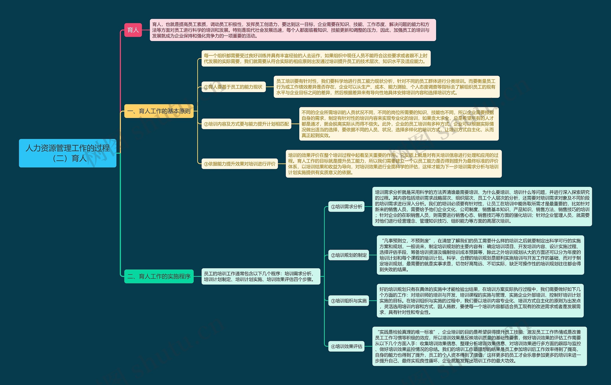 人力资源管理工作的过程（二）育人思维导图