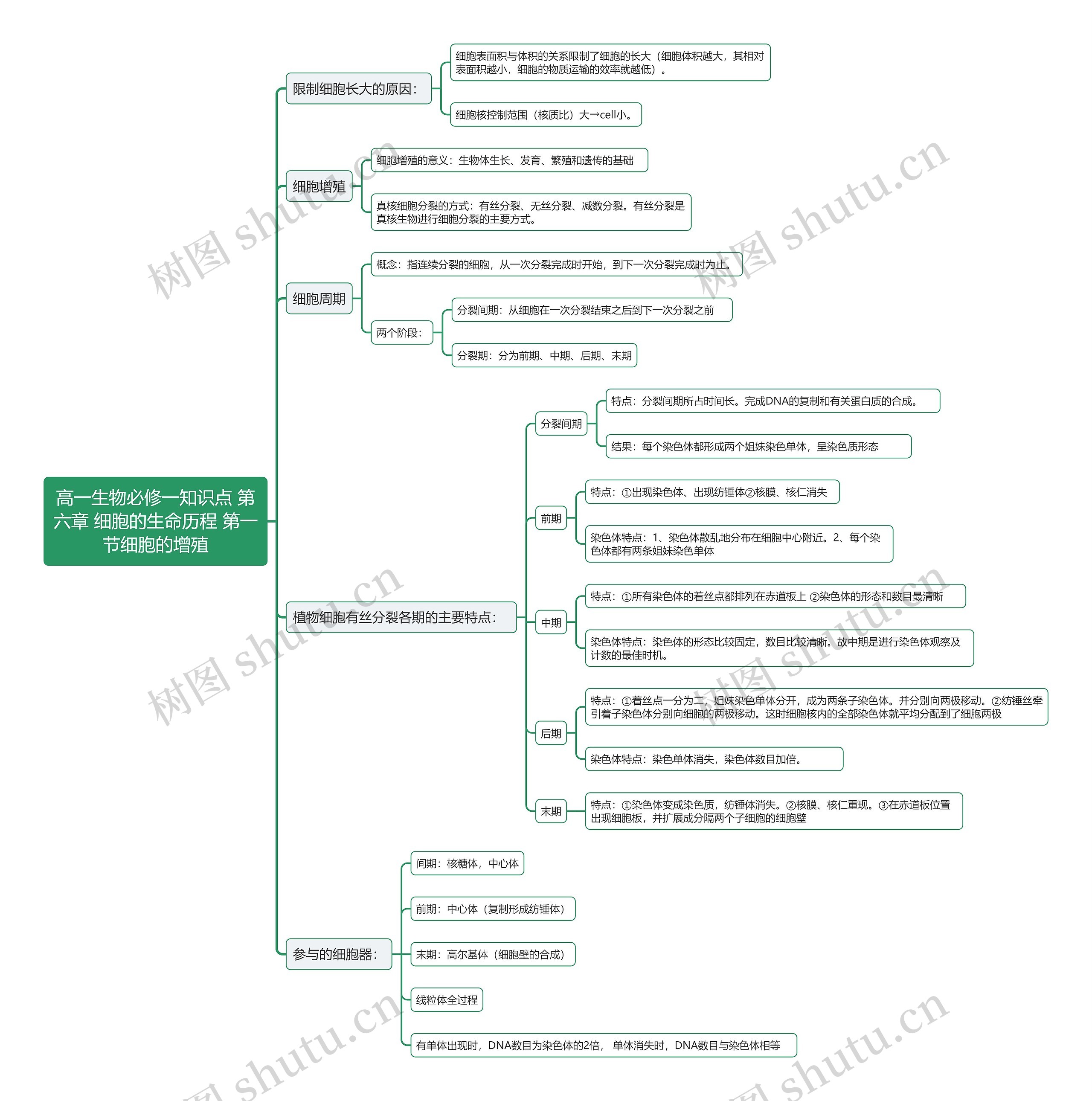 高一生物必修一知识点 第六章 细胞的生命历程 第一节细胞的增殖