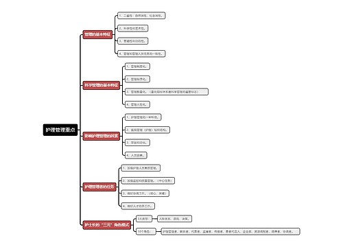 团队护理管理重点