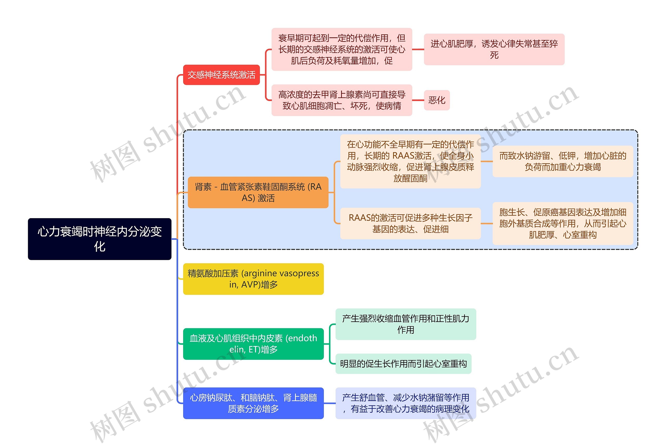 医学心力衰竭时神经内分泌变化思维导图