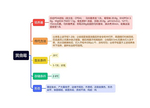 黄曲霉