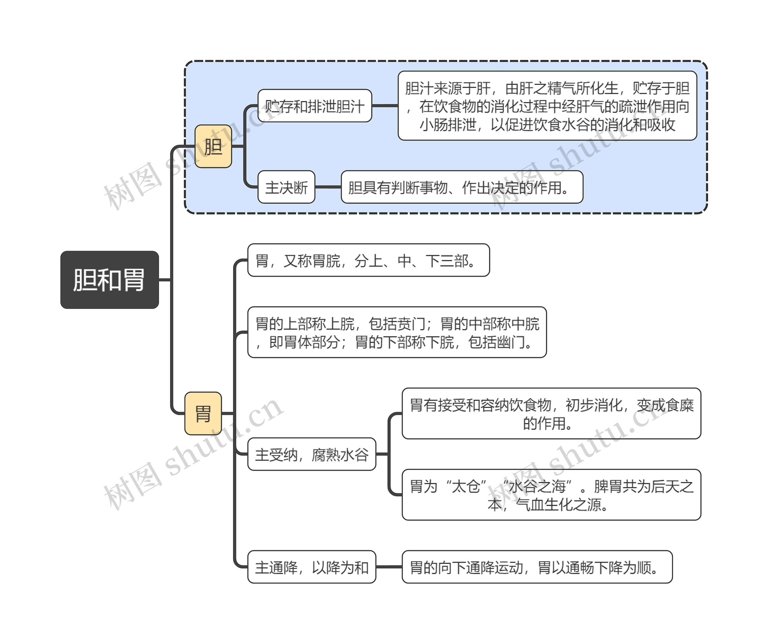 中医知识胆和胃思维导图