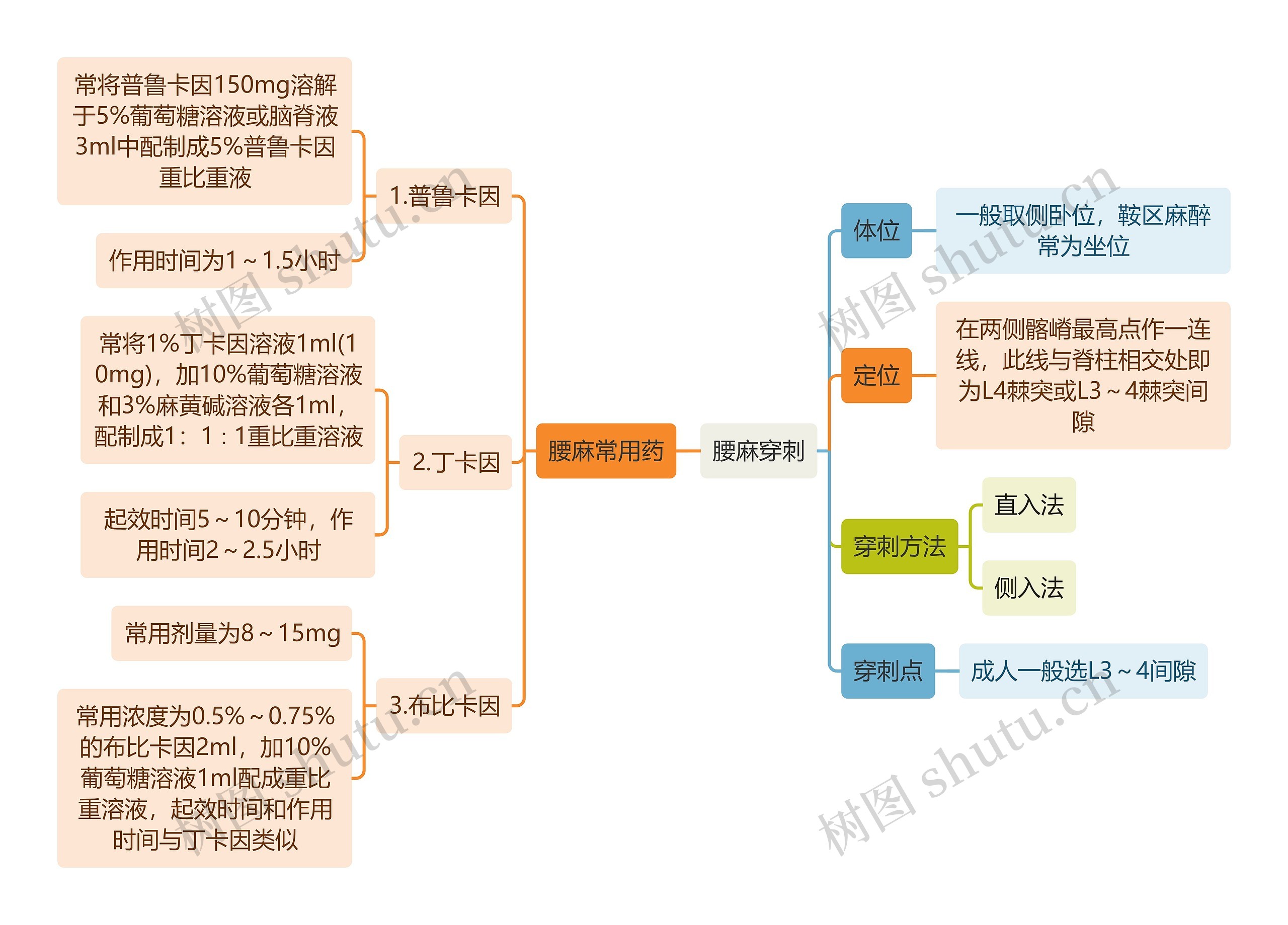 医学知识腰麻穿刺思维导图