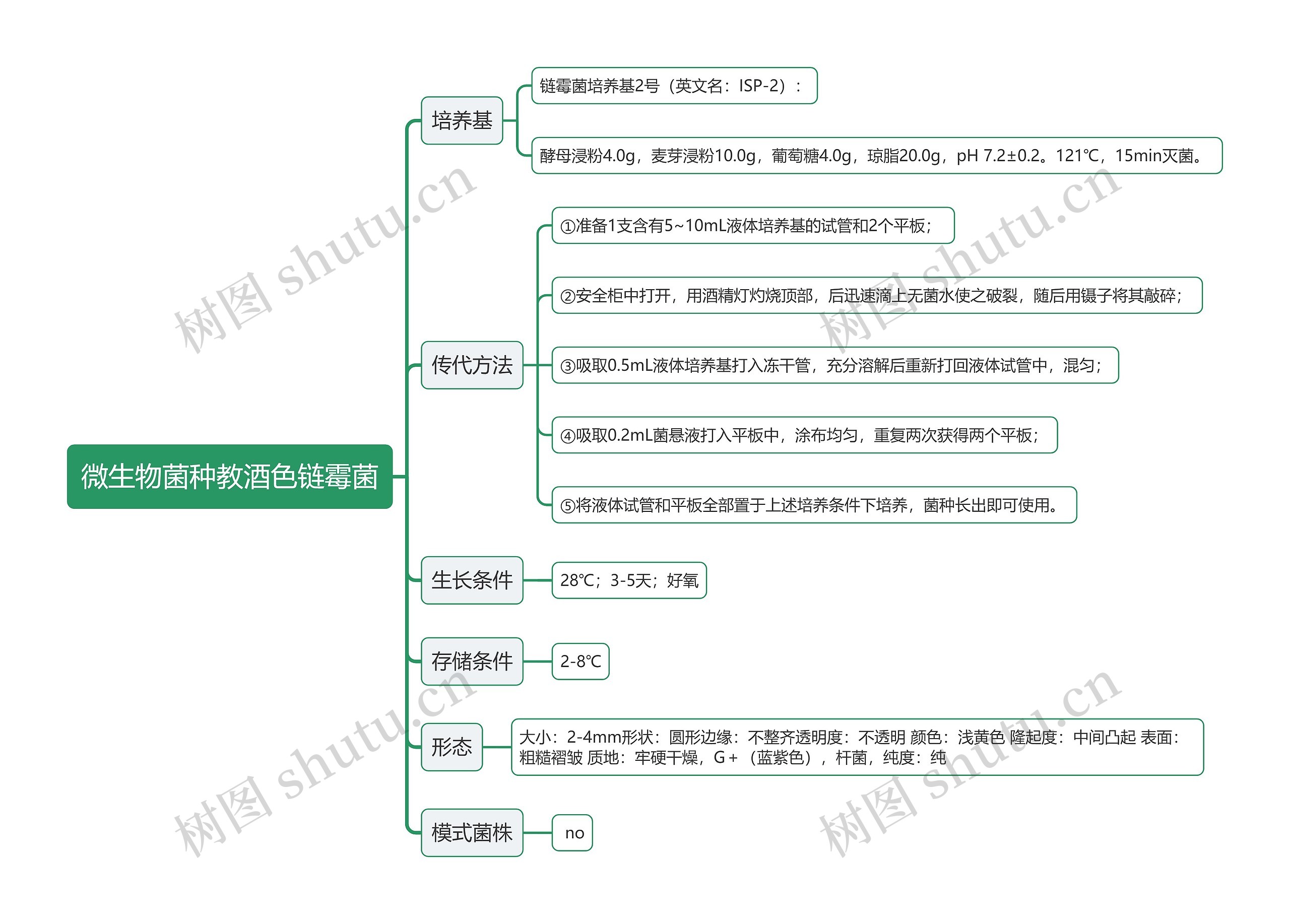 微生物菌种教酒色链霉菌思维导图