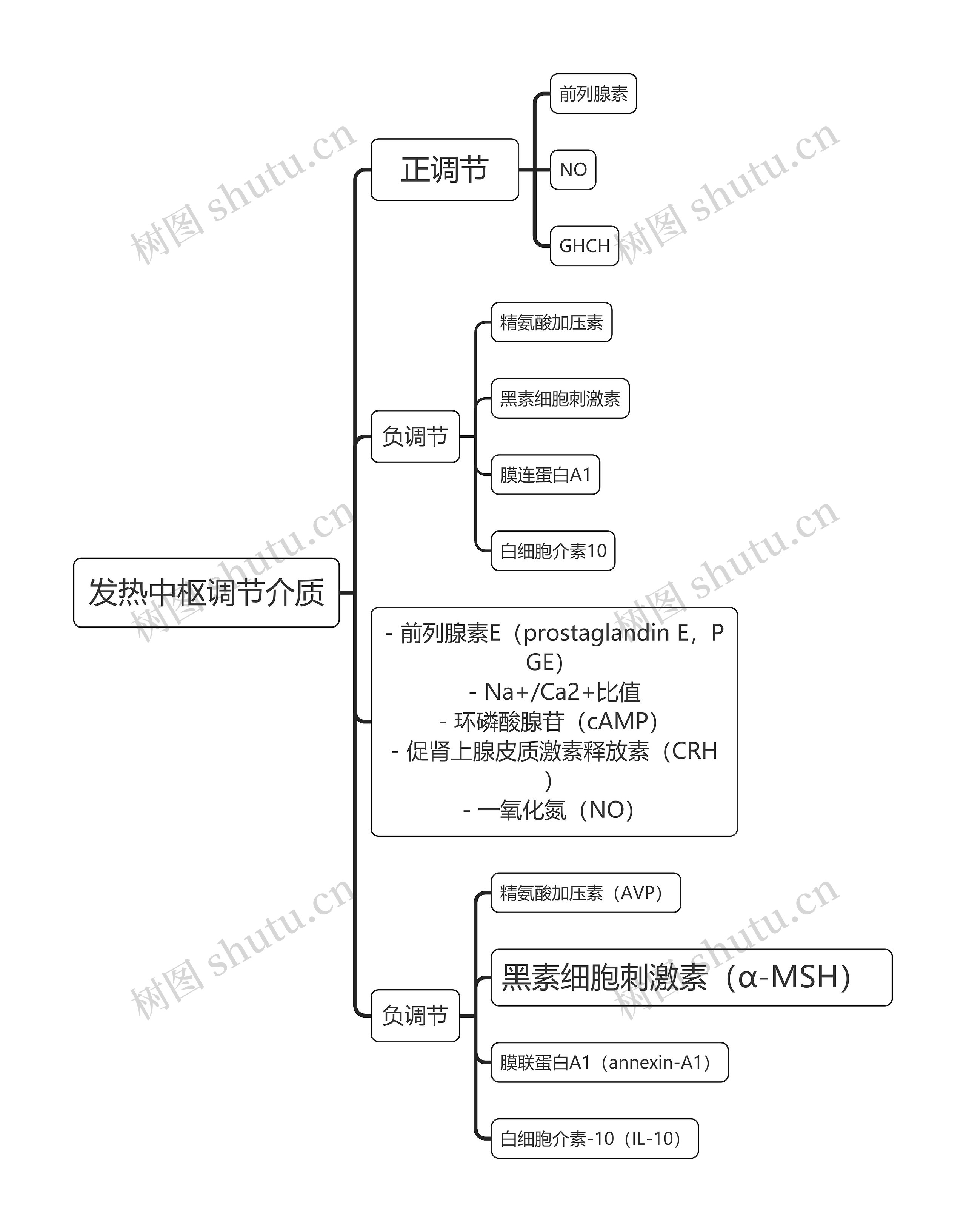 医学知识发热中枢调节介质思维导图