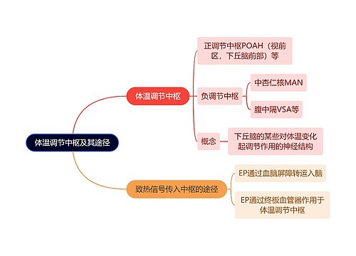 医学知识体温调节中枢及其途径思维导图