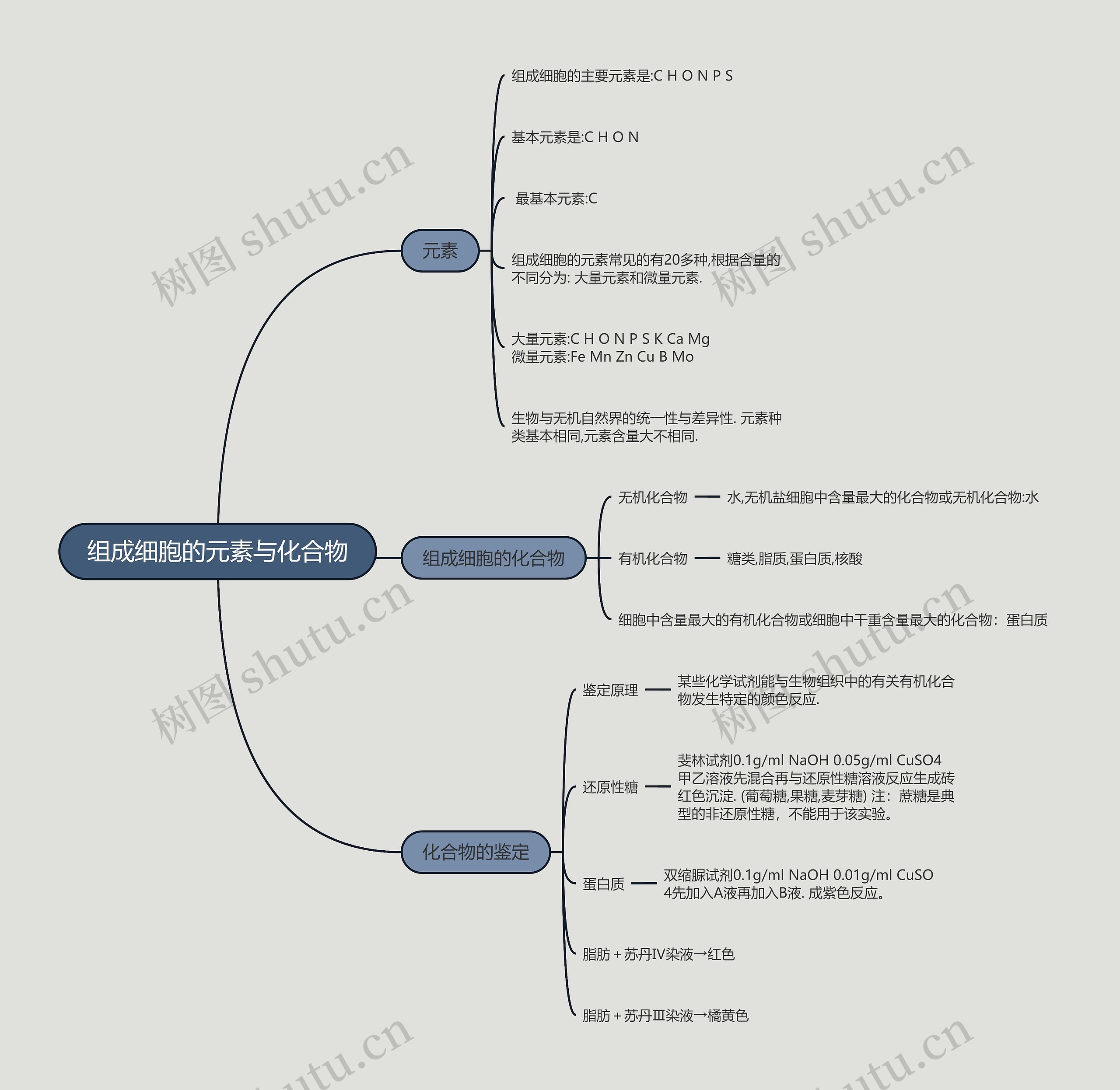 组成细胞的元素与化合物的思维导图