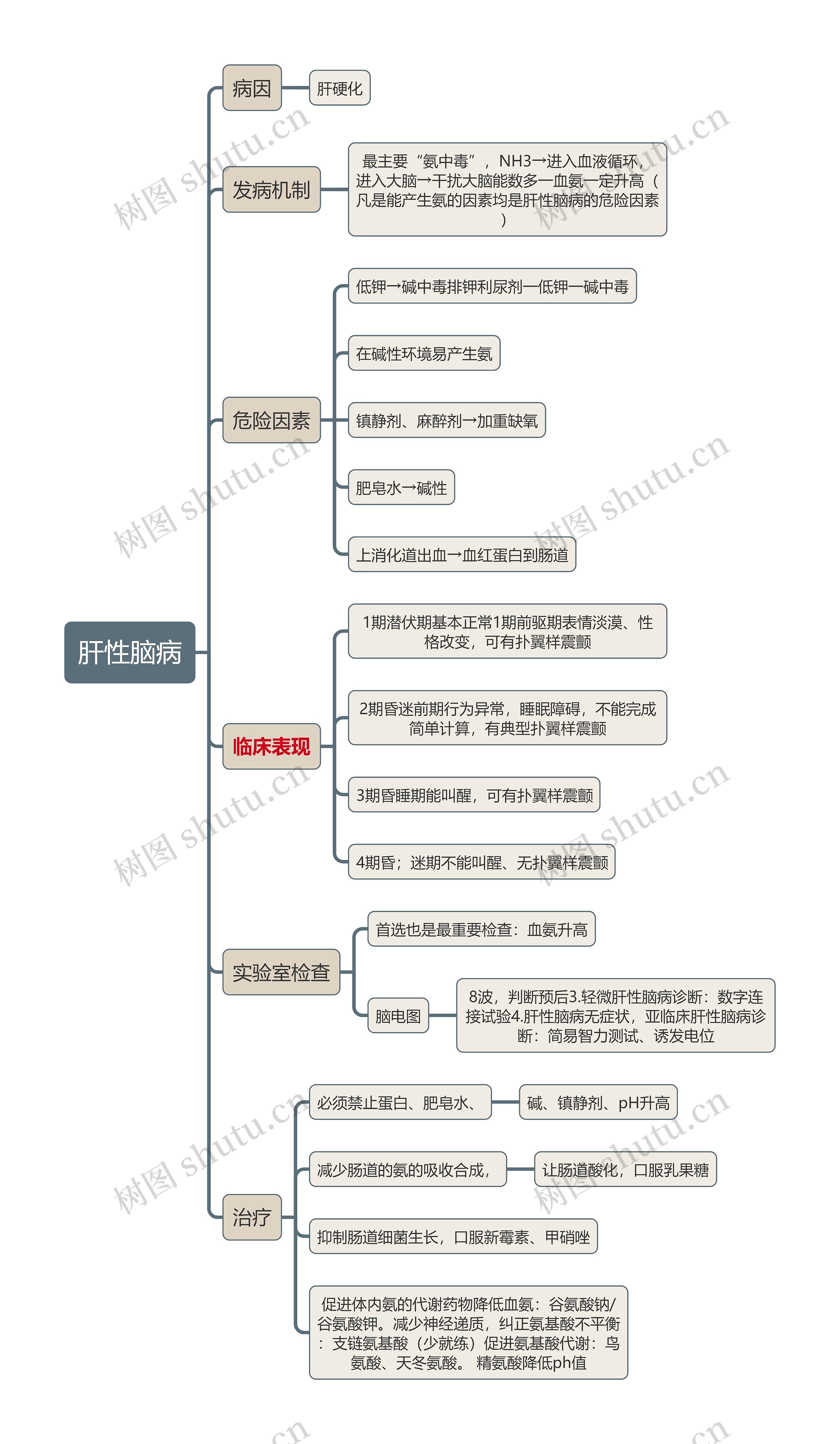 医学知识肝性脑病思维导图