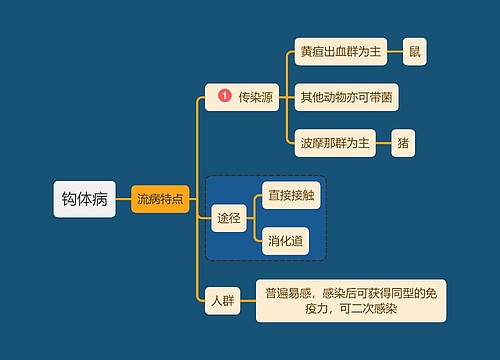 医学知识钩体病流病特点思维导图