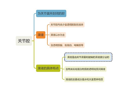 医学知识关节腔思维导图