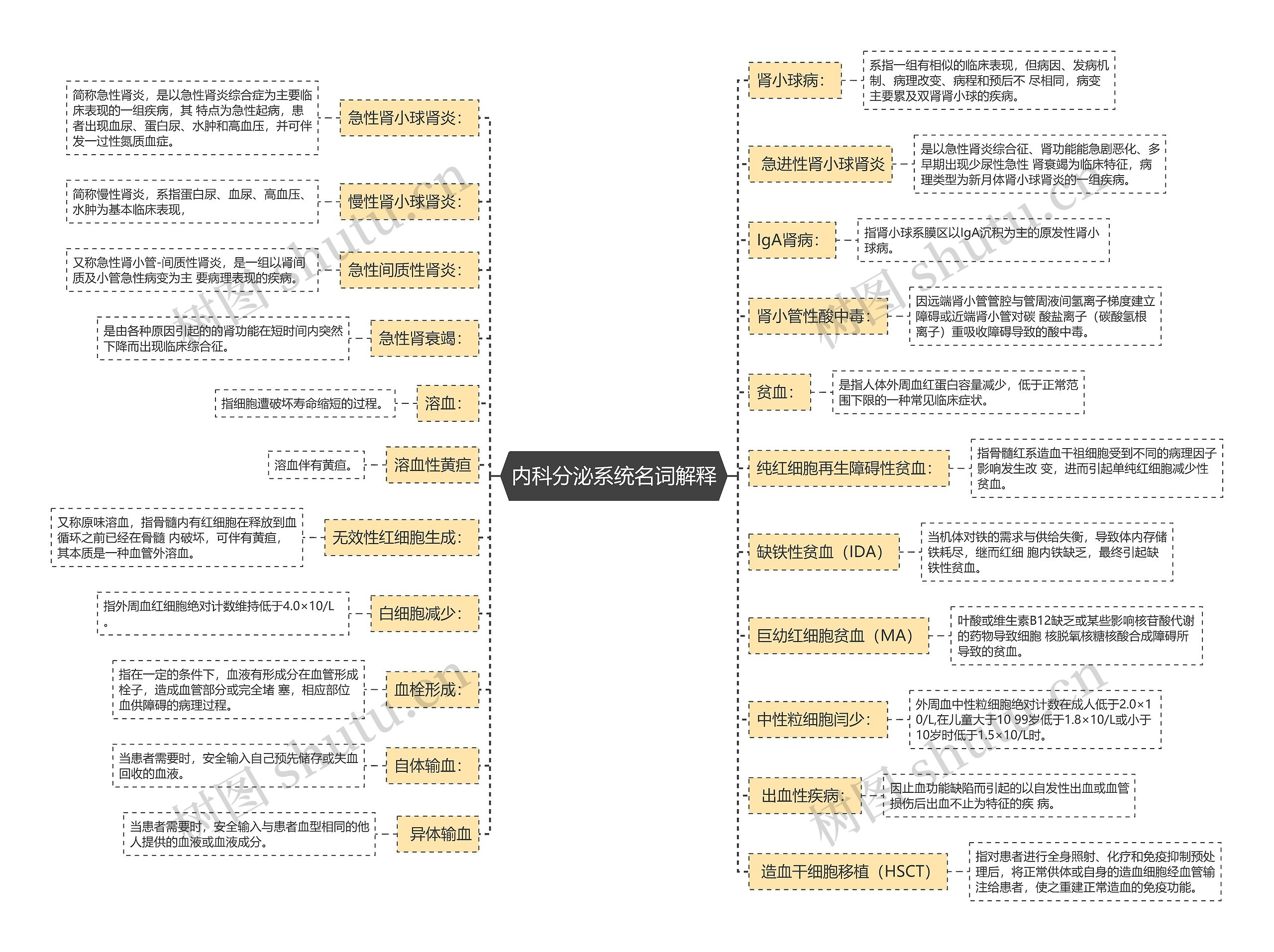 内科分泌系统名词解释