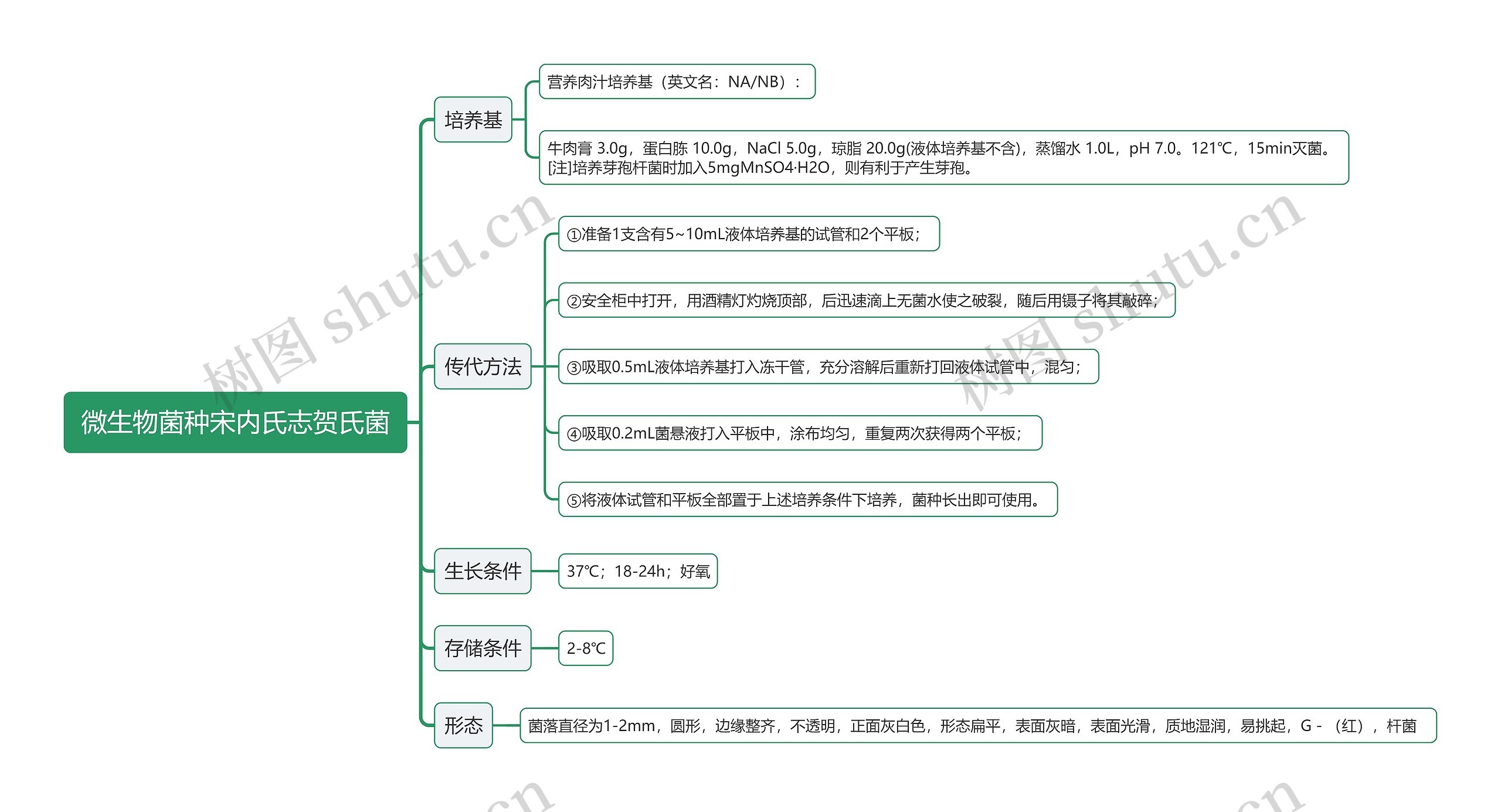 微生物菌种宋内氏志贺氏菌思维导图