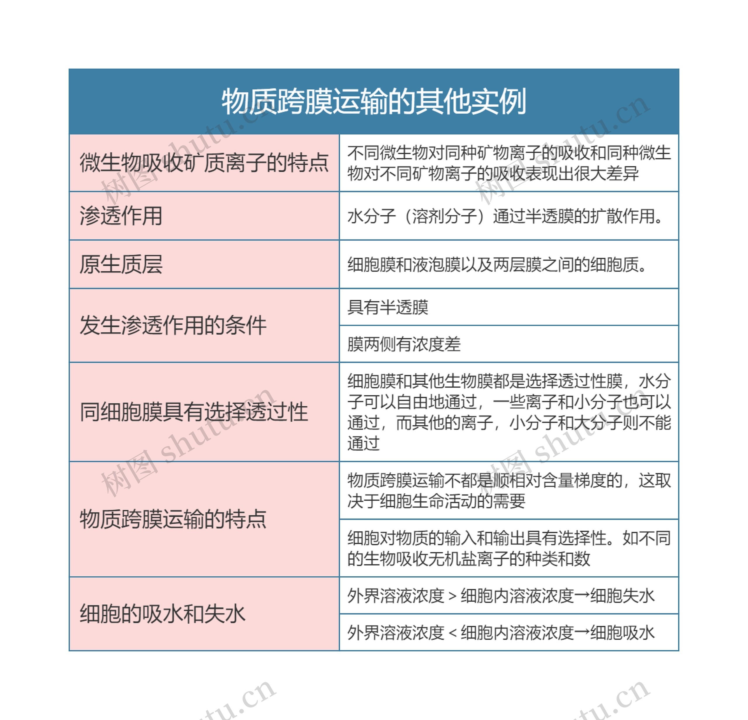 高一生物必修一物质跨膜运输的其他实例思维导图