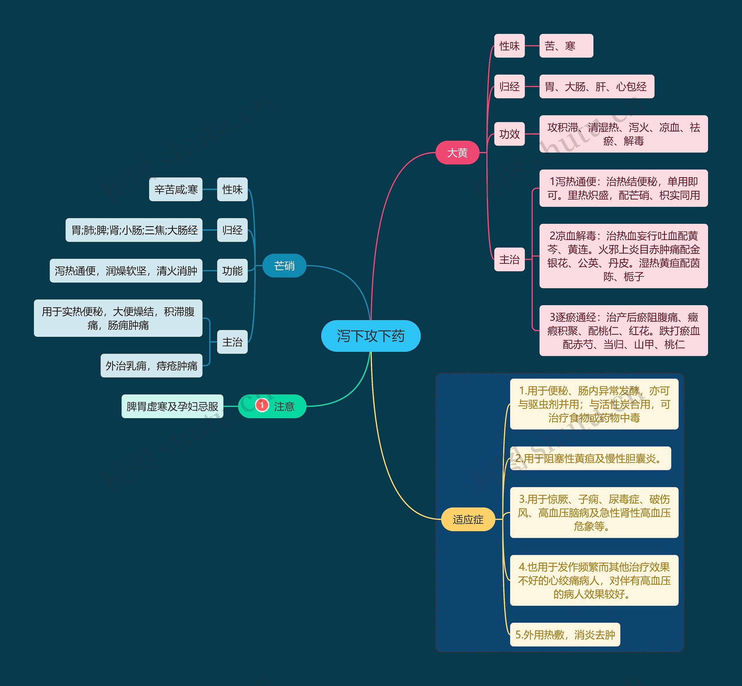 医学知识泻下攻下药思维导图