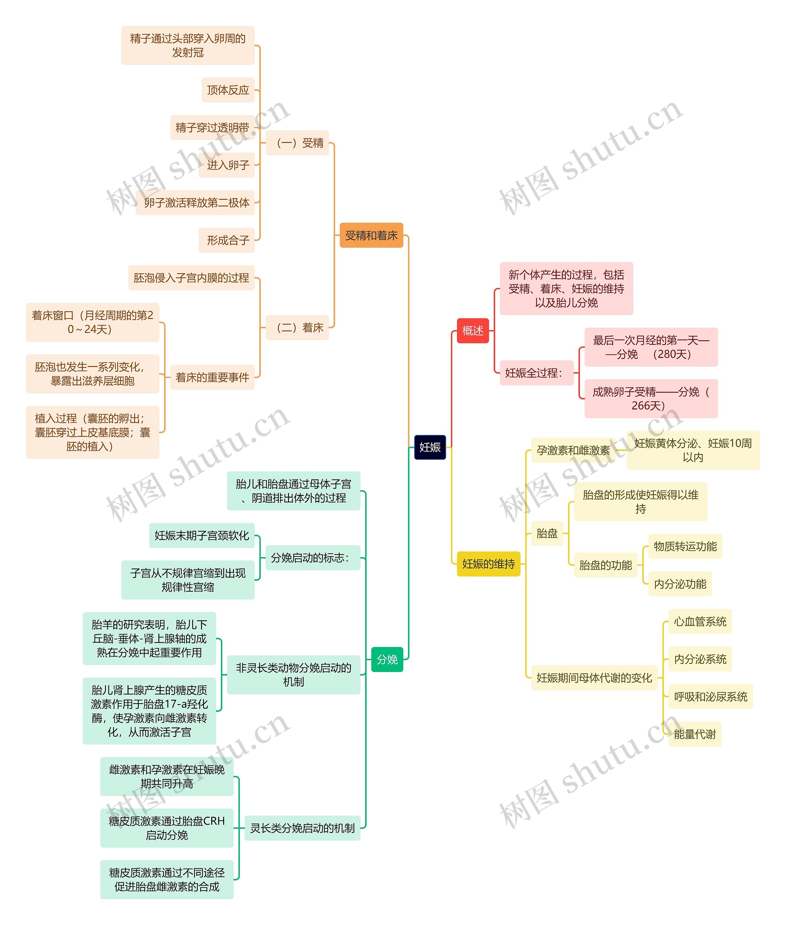 医学知识妊娠思维导图