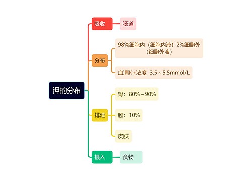 医学知识钾的分布情况思维导图