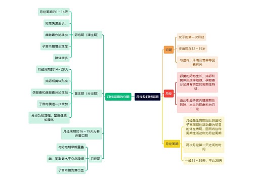 医学知识月经及月经周期思维导图