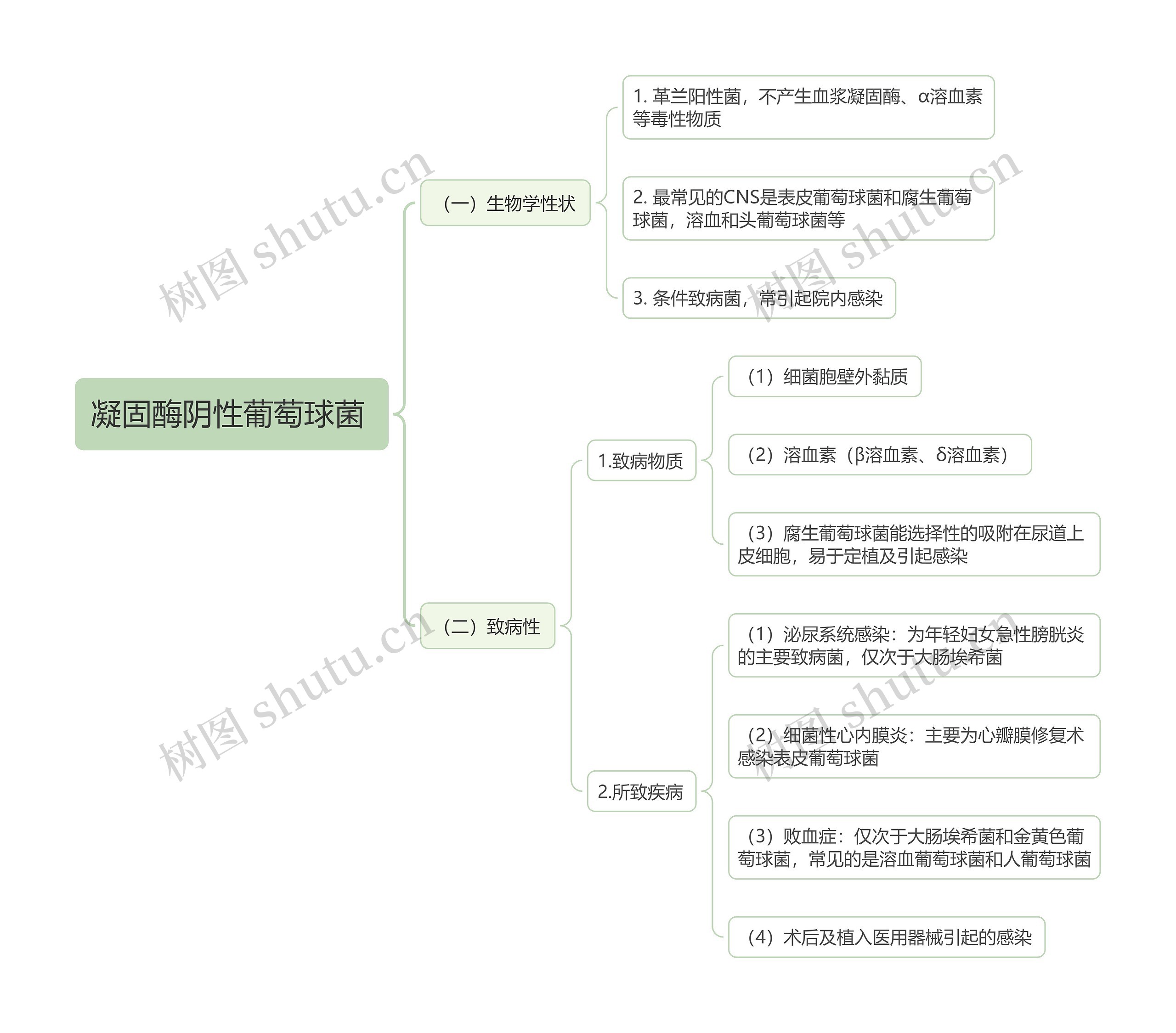 凝固酶阴性葡萄球菌思维导图