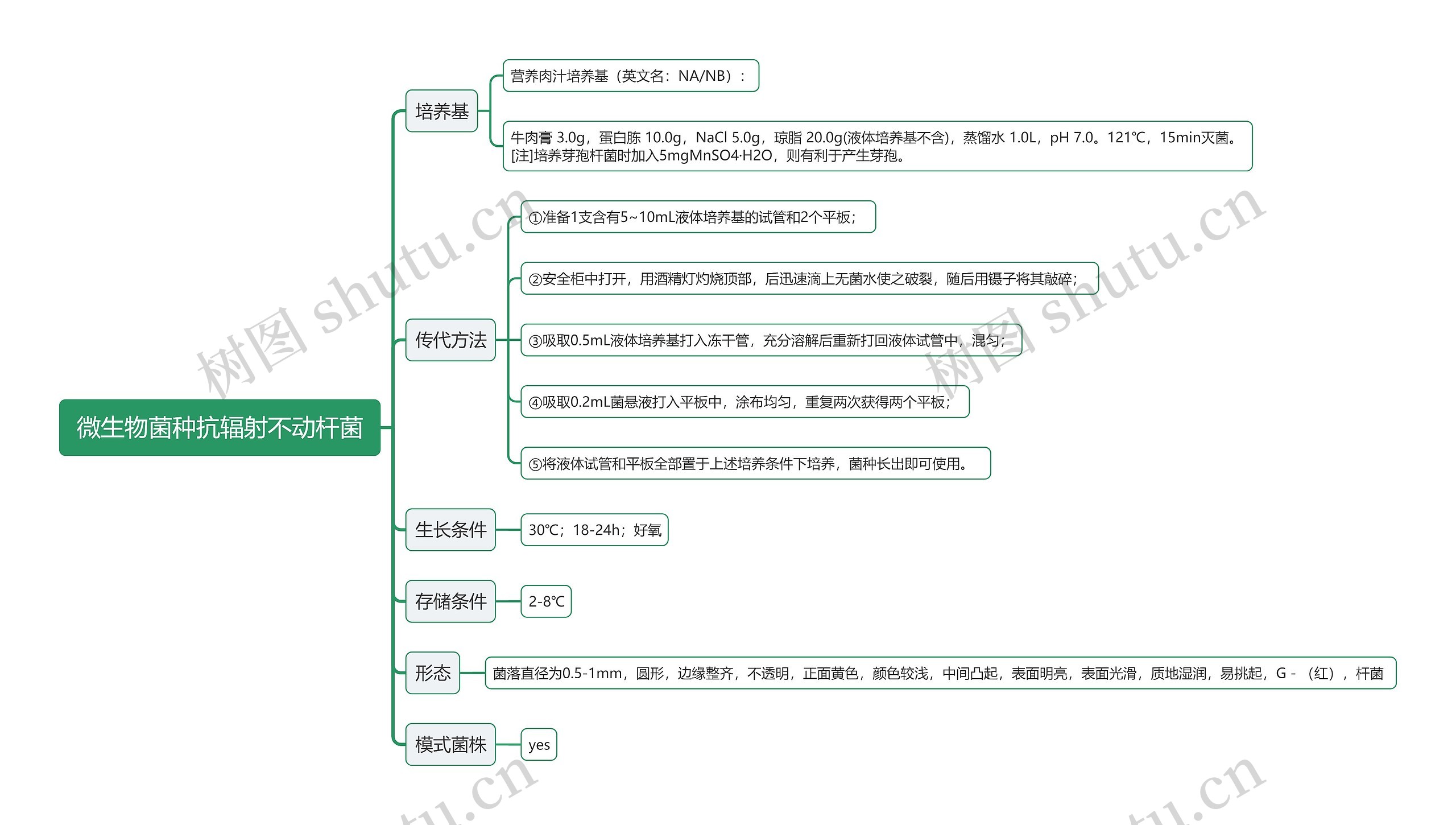 微生物菌种抗辐射不动杆菌思维导图