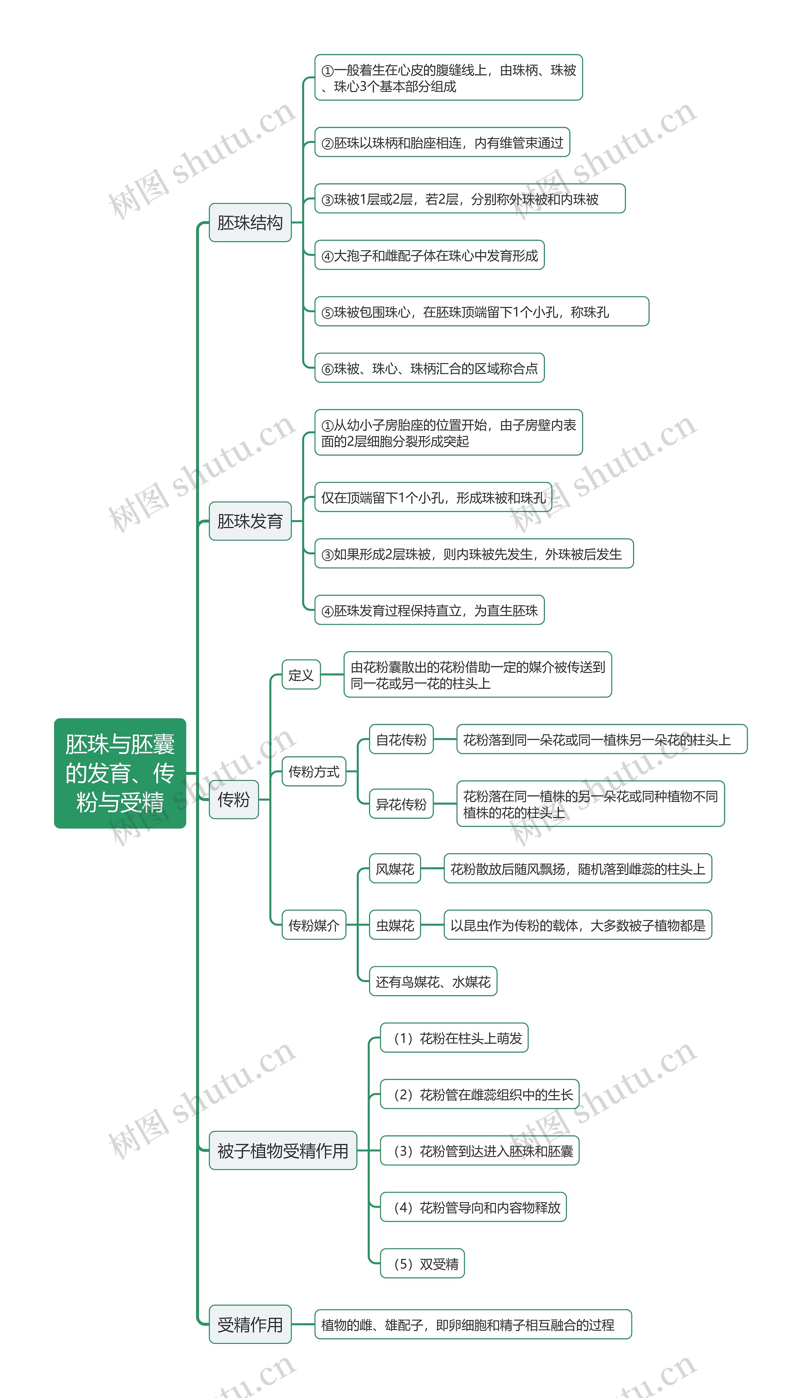 胚珠与胚囊
的发育、传
粉与受精思维导图