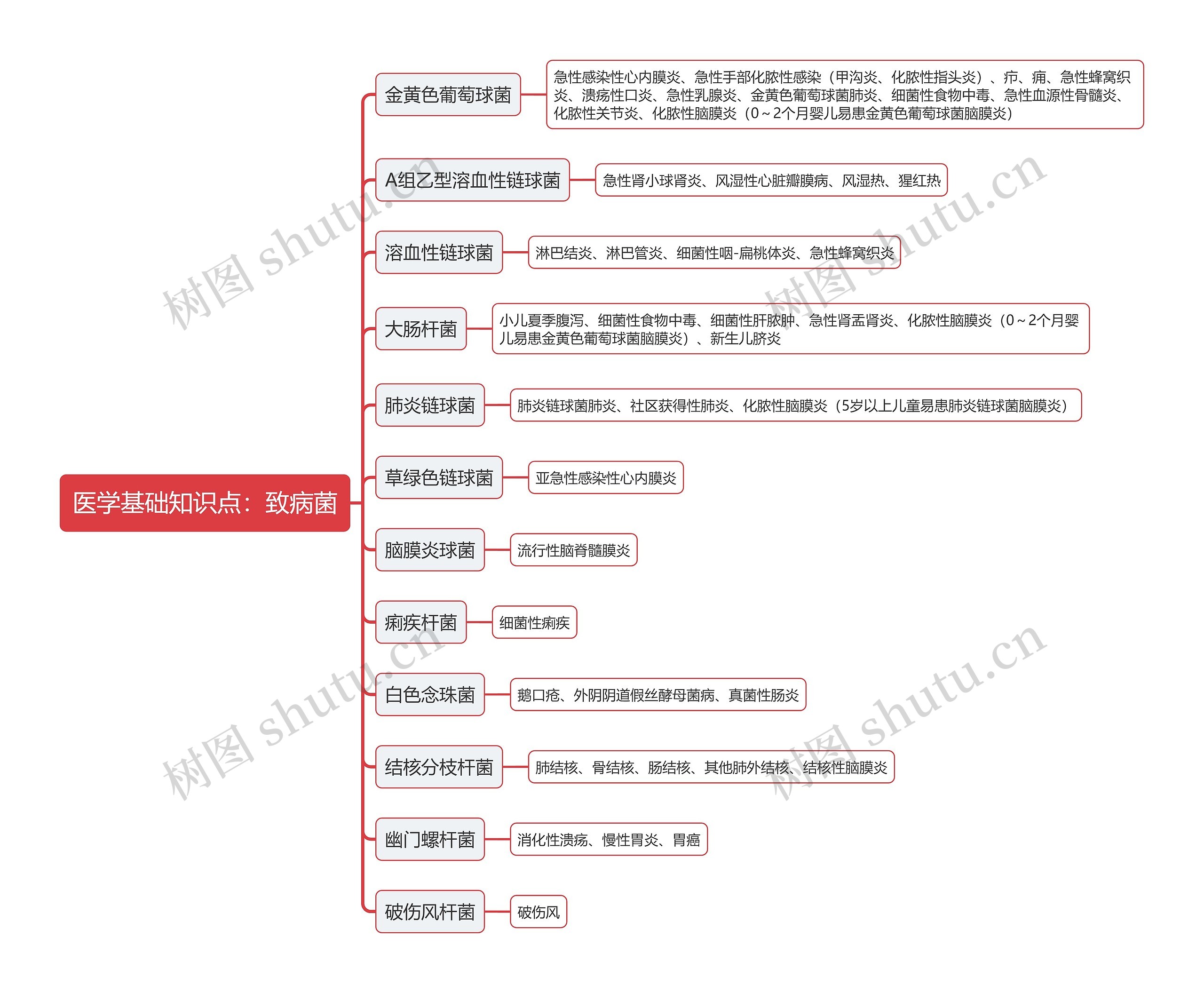 医学基础知识点：致病菌思维导图