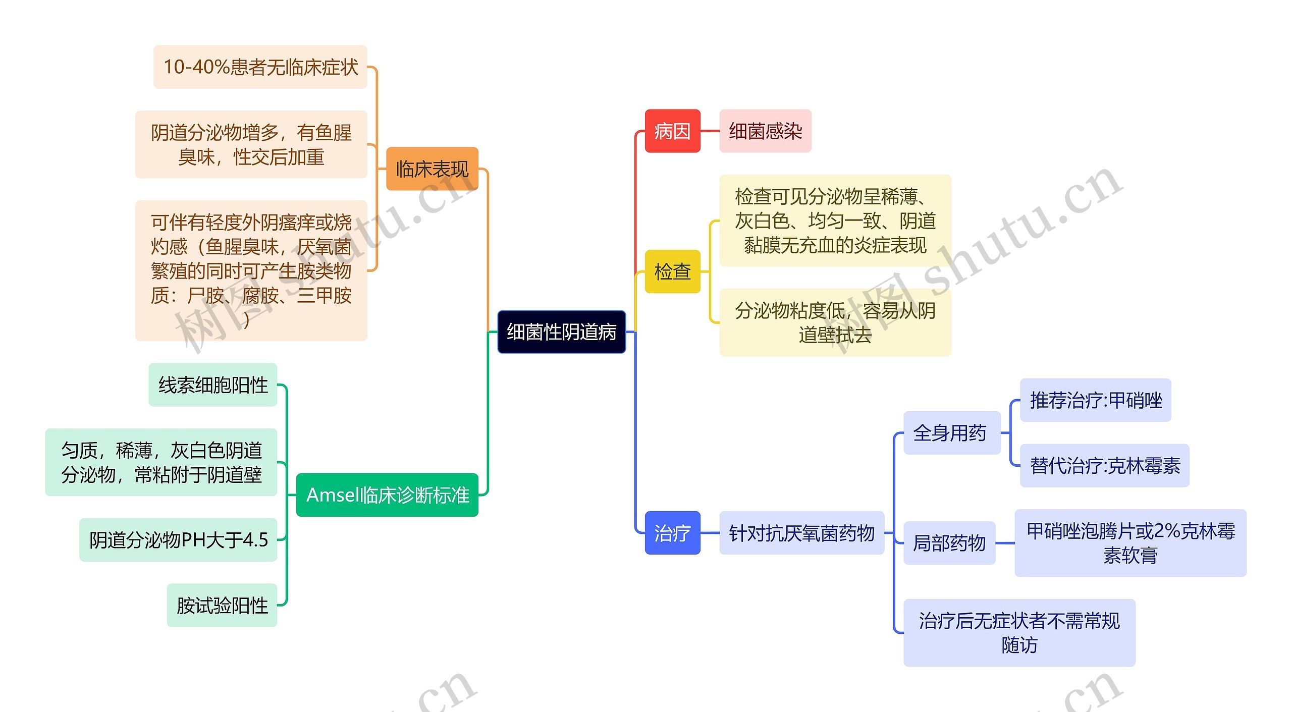 医学知识细菌性阴道病思维导图