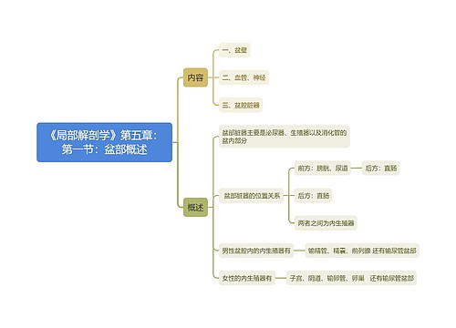 《局部解剖学》第五章：第一节：盆部概述思维导图