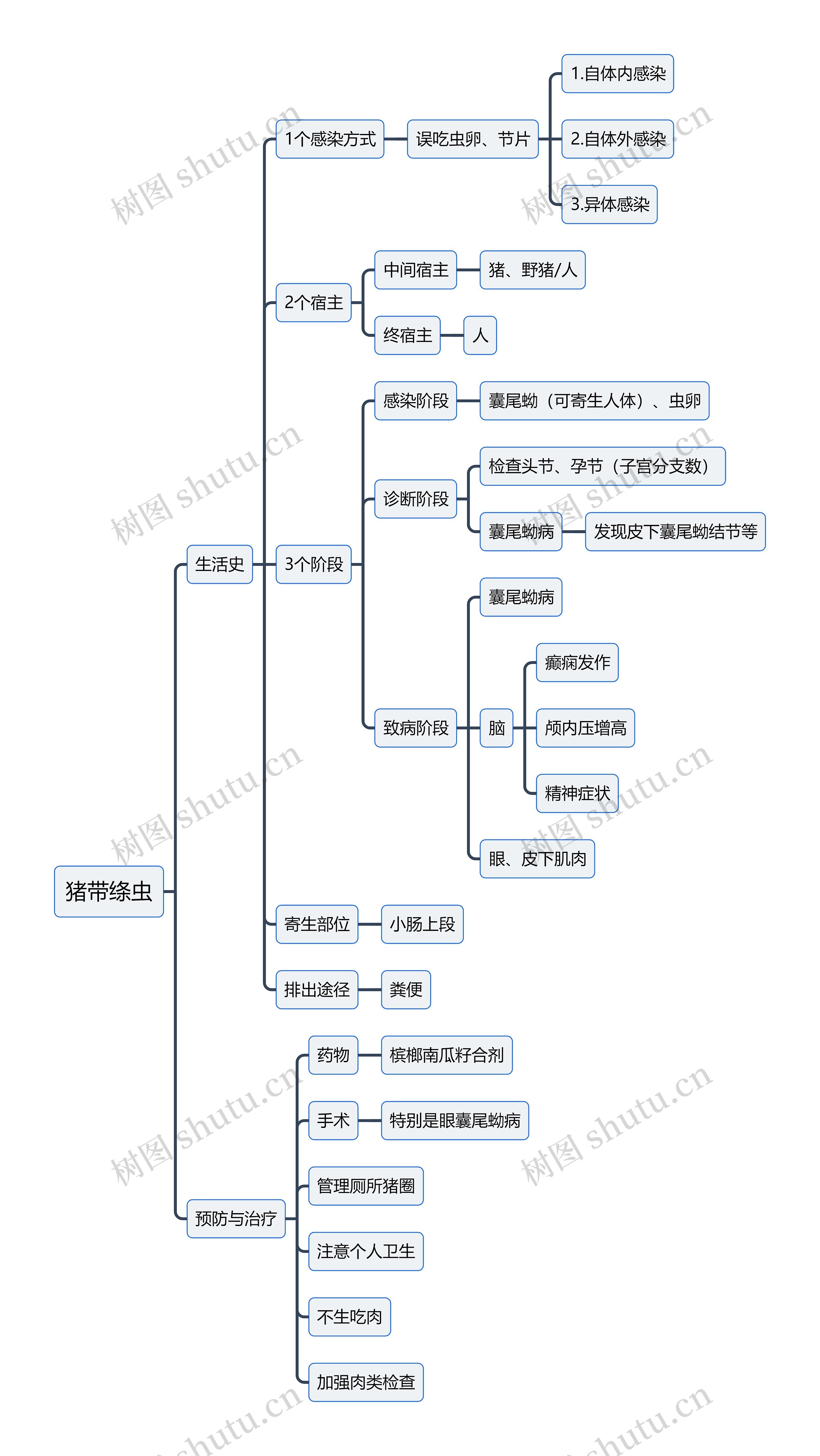 医学知识猪带绦虫思维导图