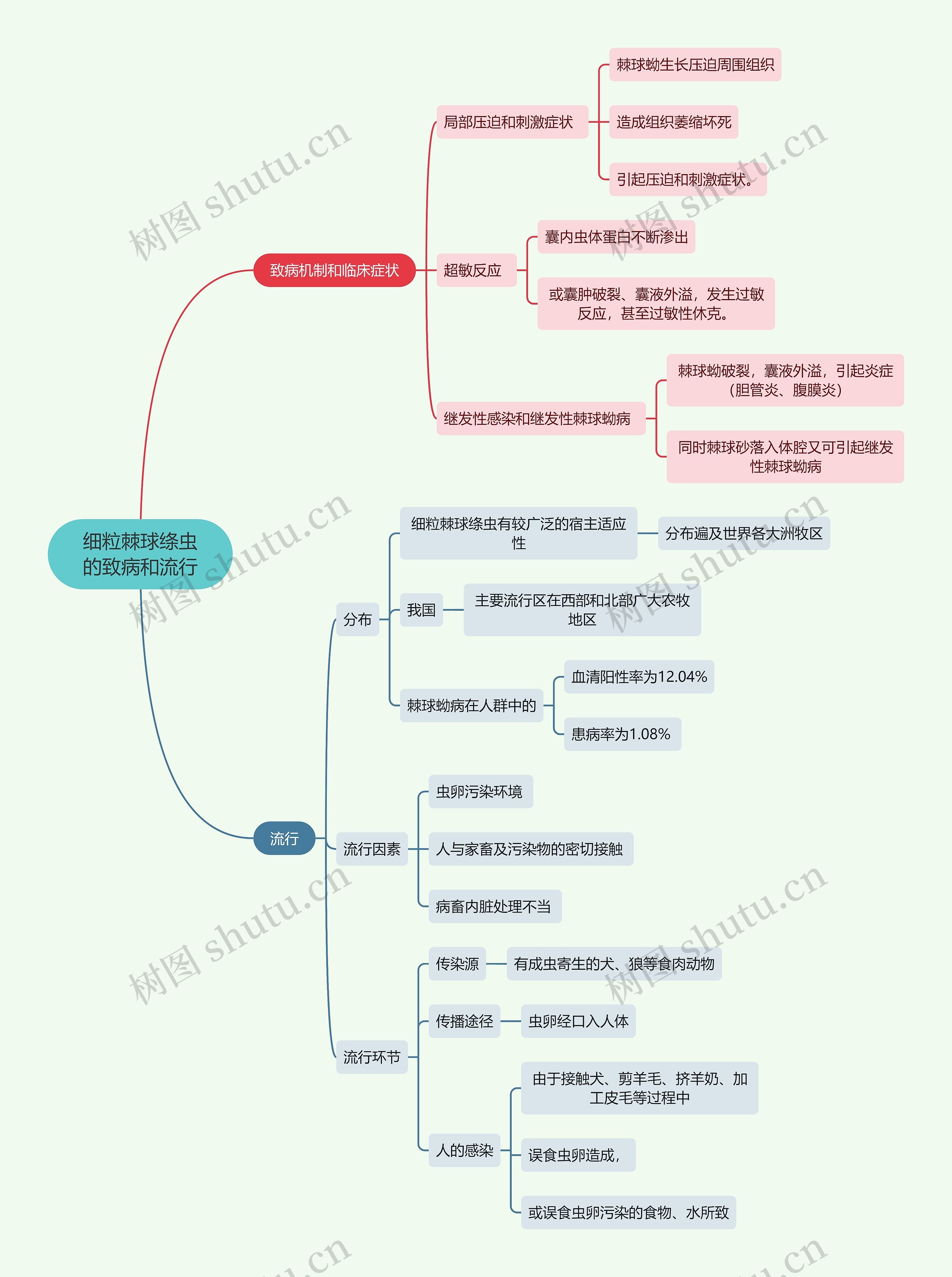 医学知识细粒棘球绦虫的致病和流行思维导图