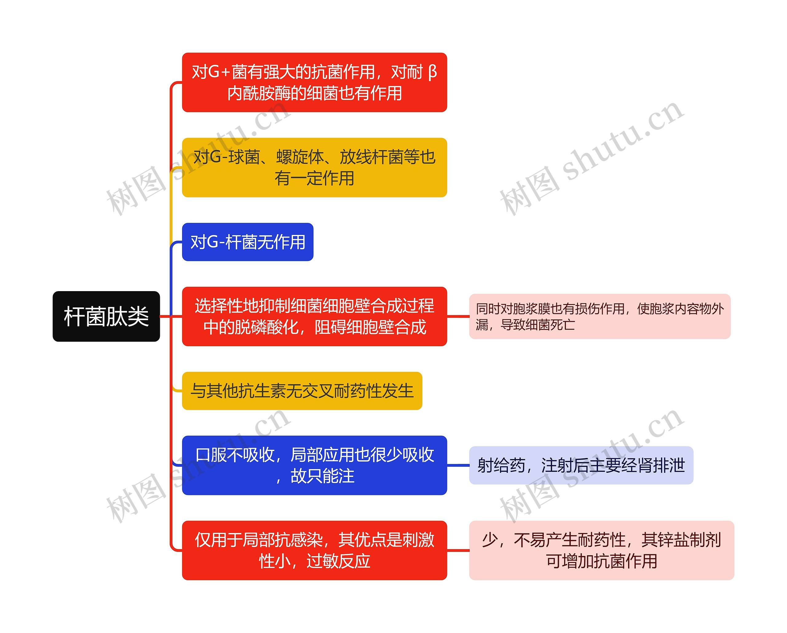 医学杆菌肽类思维导图