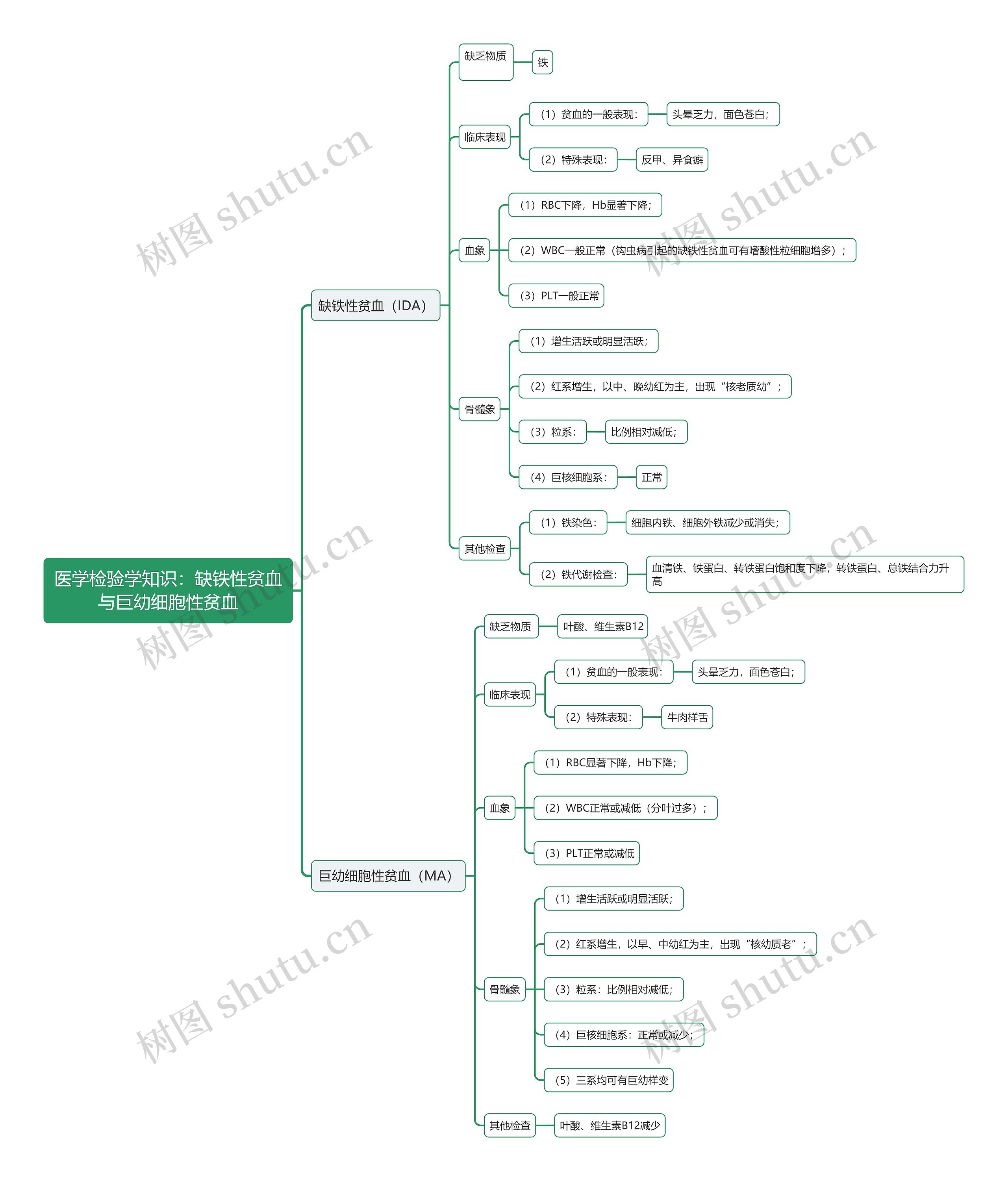 医学检验学知识：缺铁性贫血与巨幼细胞性贫血思维导图