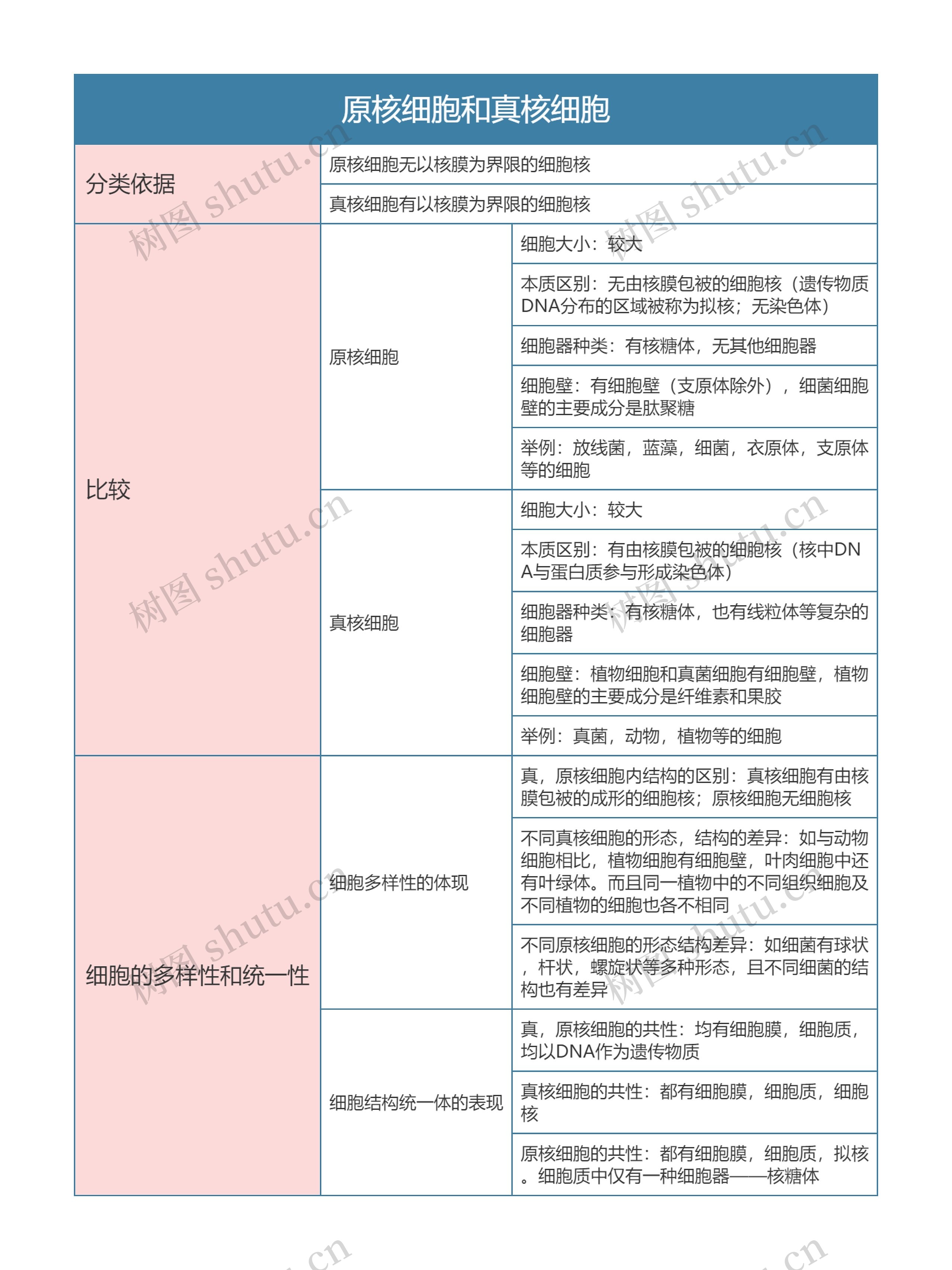 高中生物必修一原核细胞和真核细胞思维导图