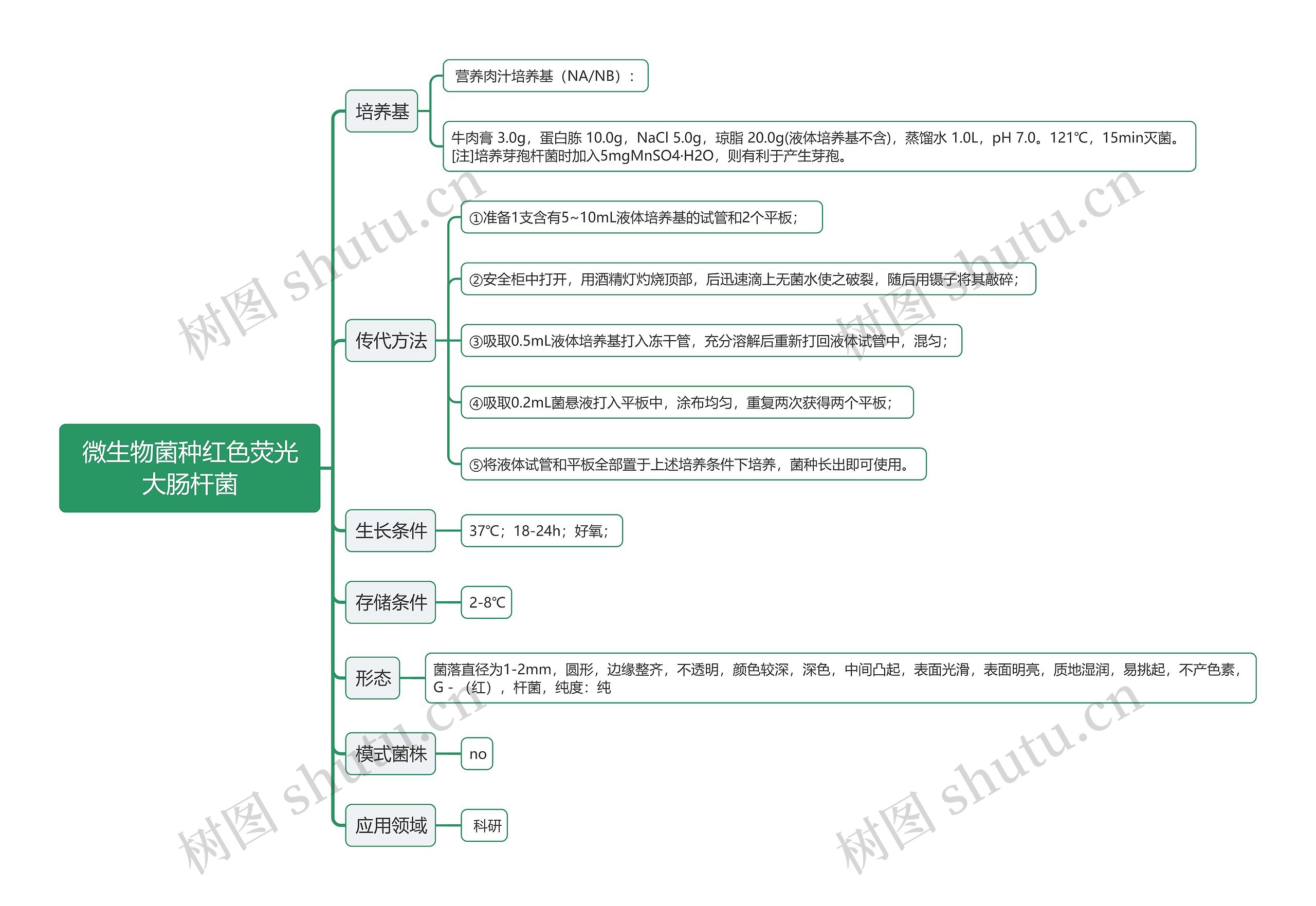 微生物菌种红色荧光大肠杆菌思维导图