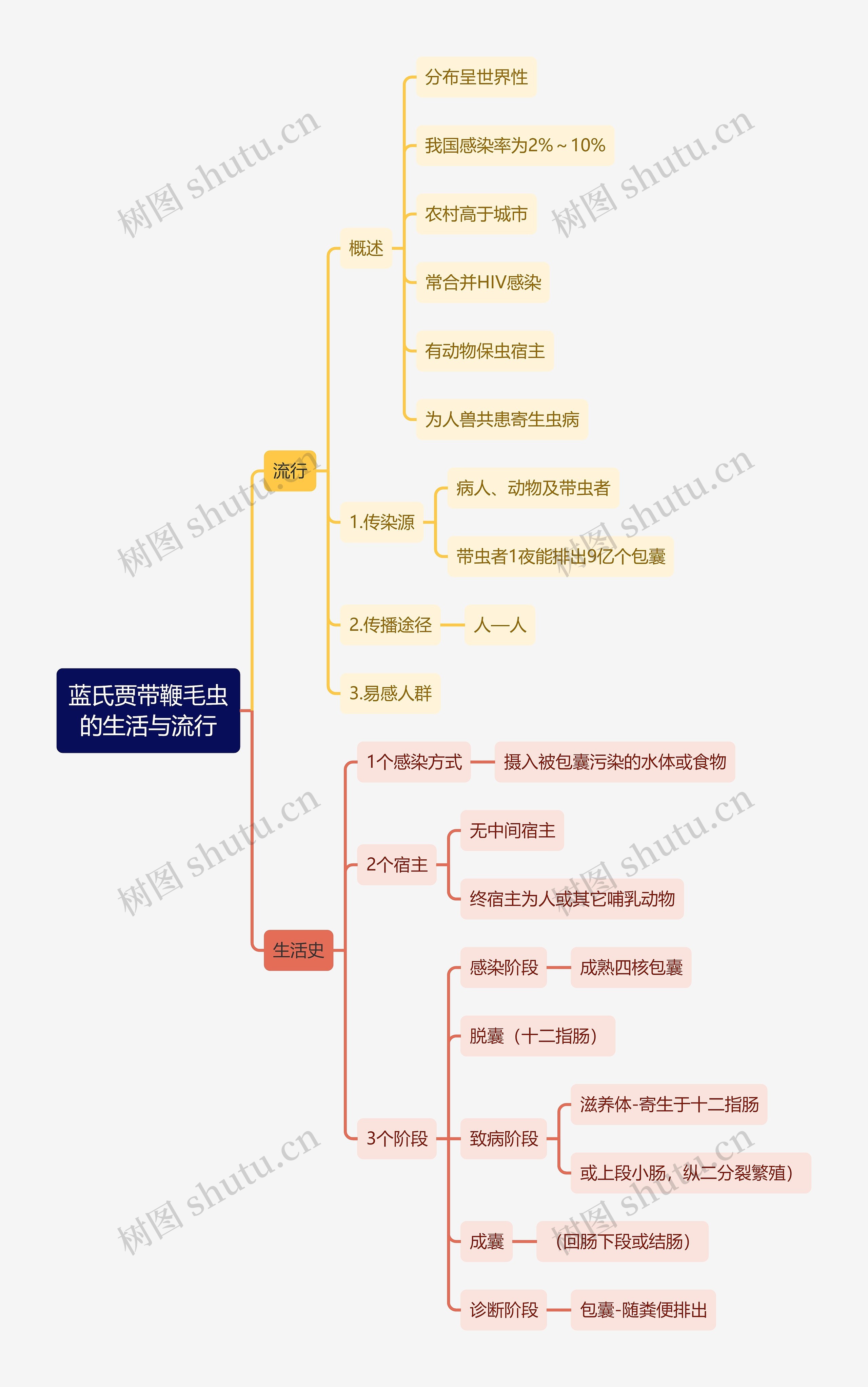 医学知识蓝氏贾带鞭毛虫的生活与流行思维导图