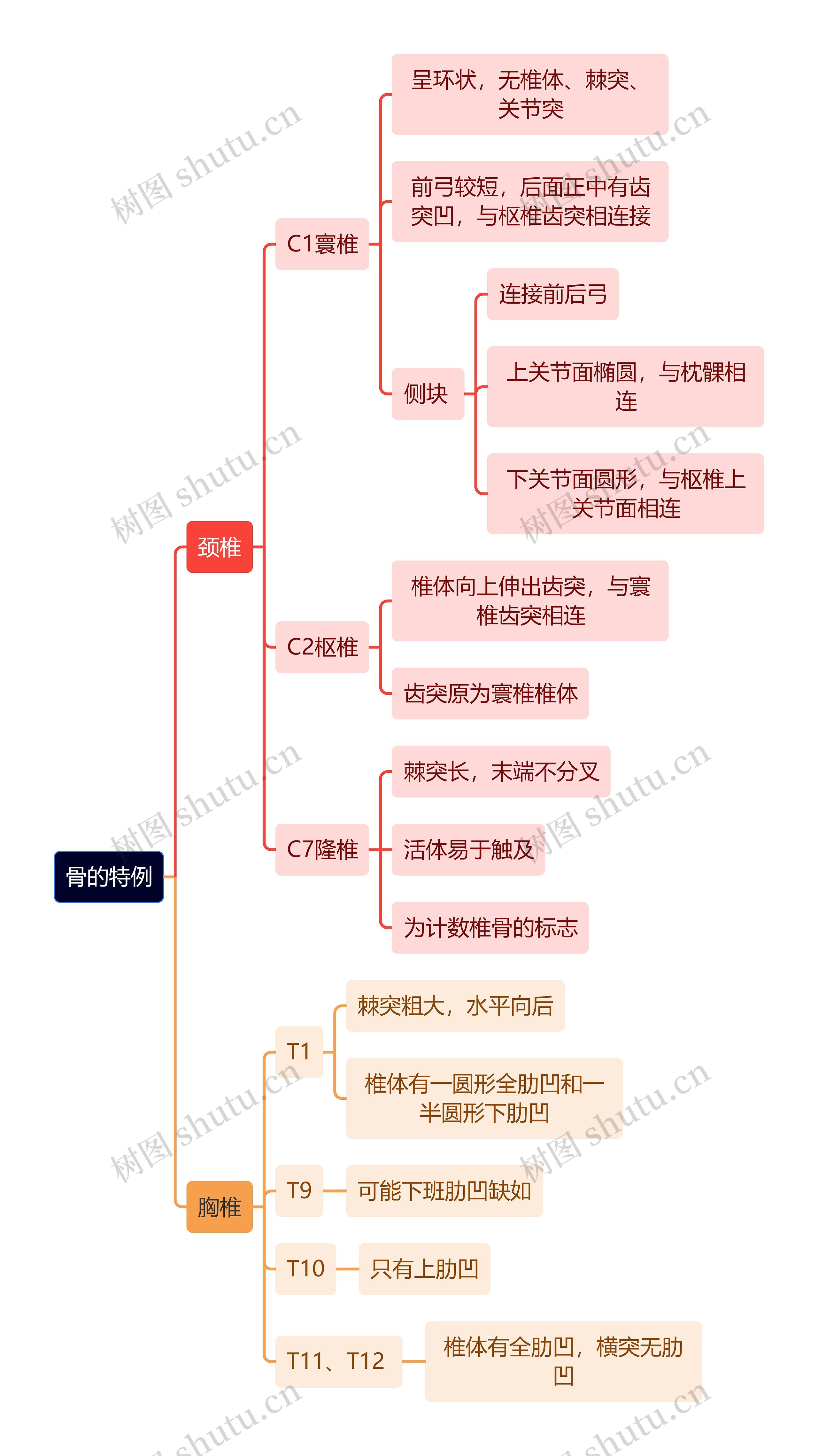 解剖学知识骨的特例思维导图