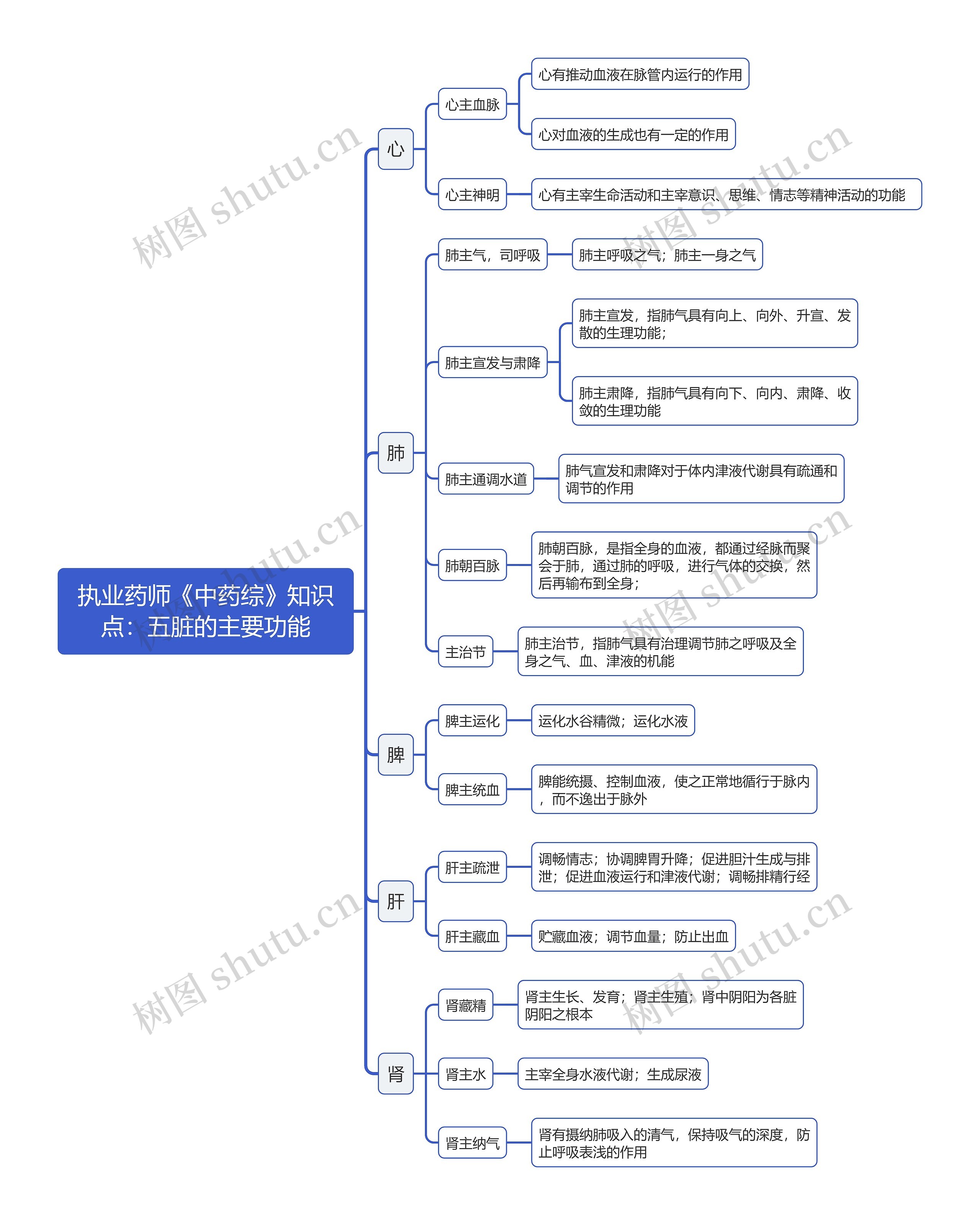 执业药师《中药综》知识点：五脏的主要功能