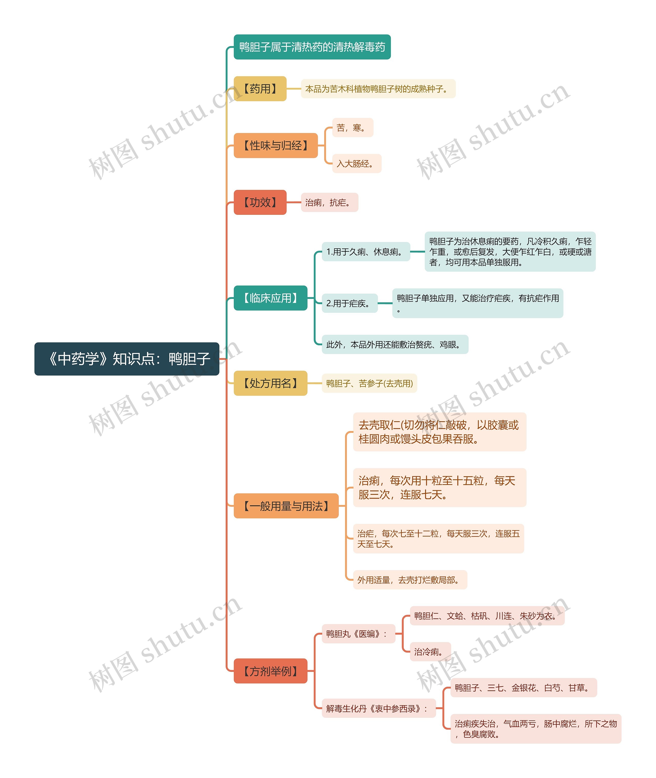 《中药学》知识点：鸭胆子思维导图