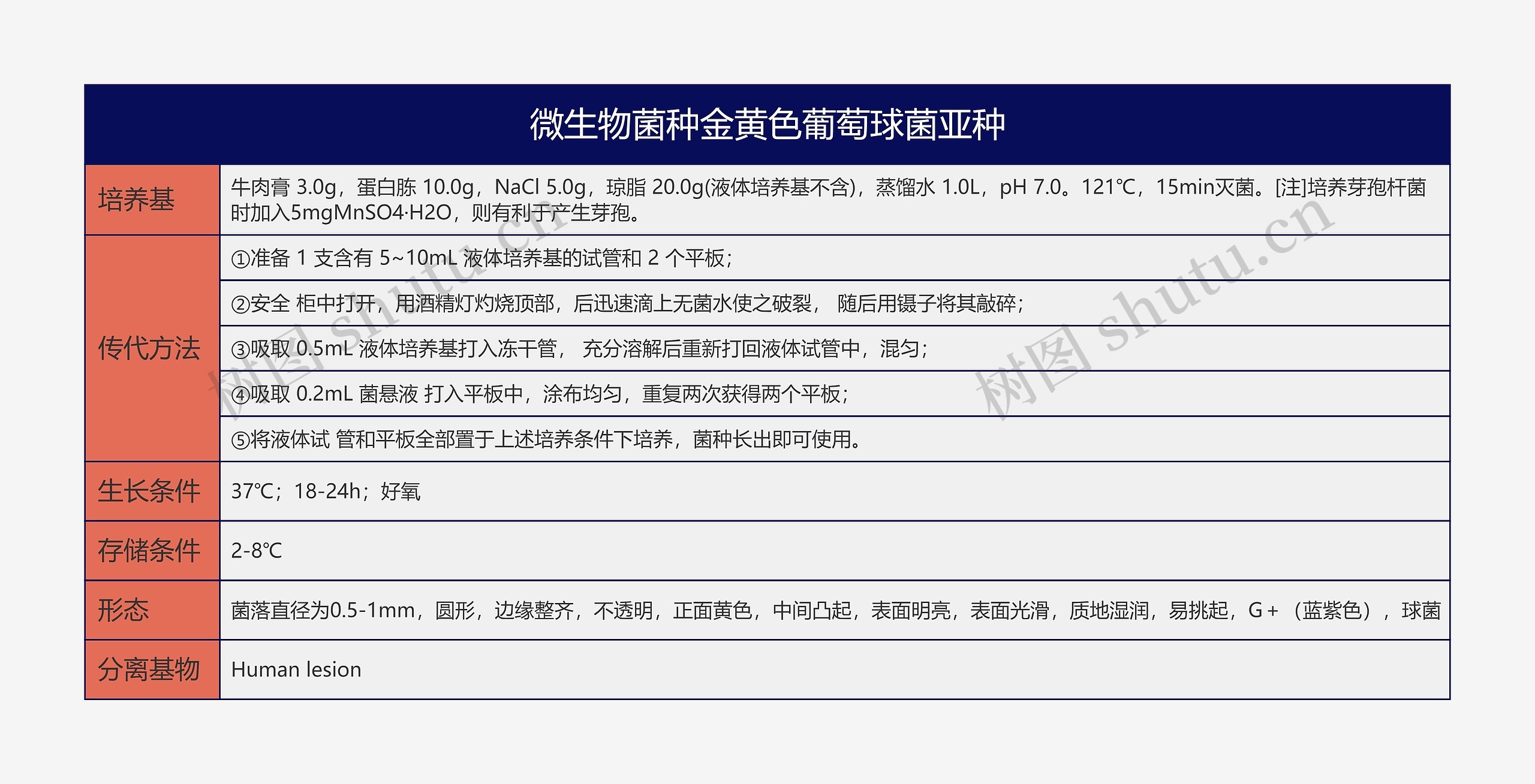 微生物菌种金黄色葡萄球菌亚种