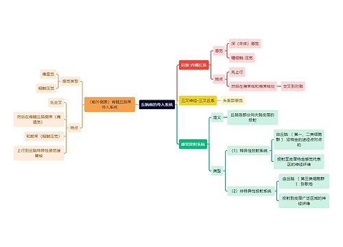 医学知识丘脑前的传入系统思维导图