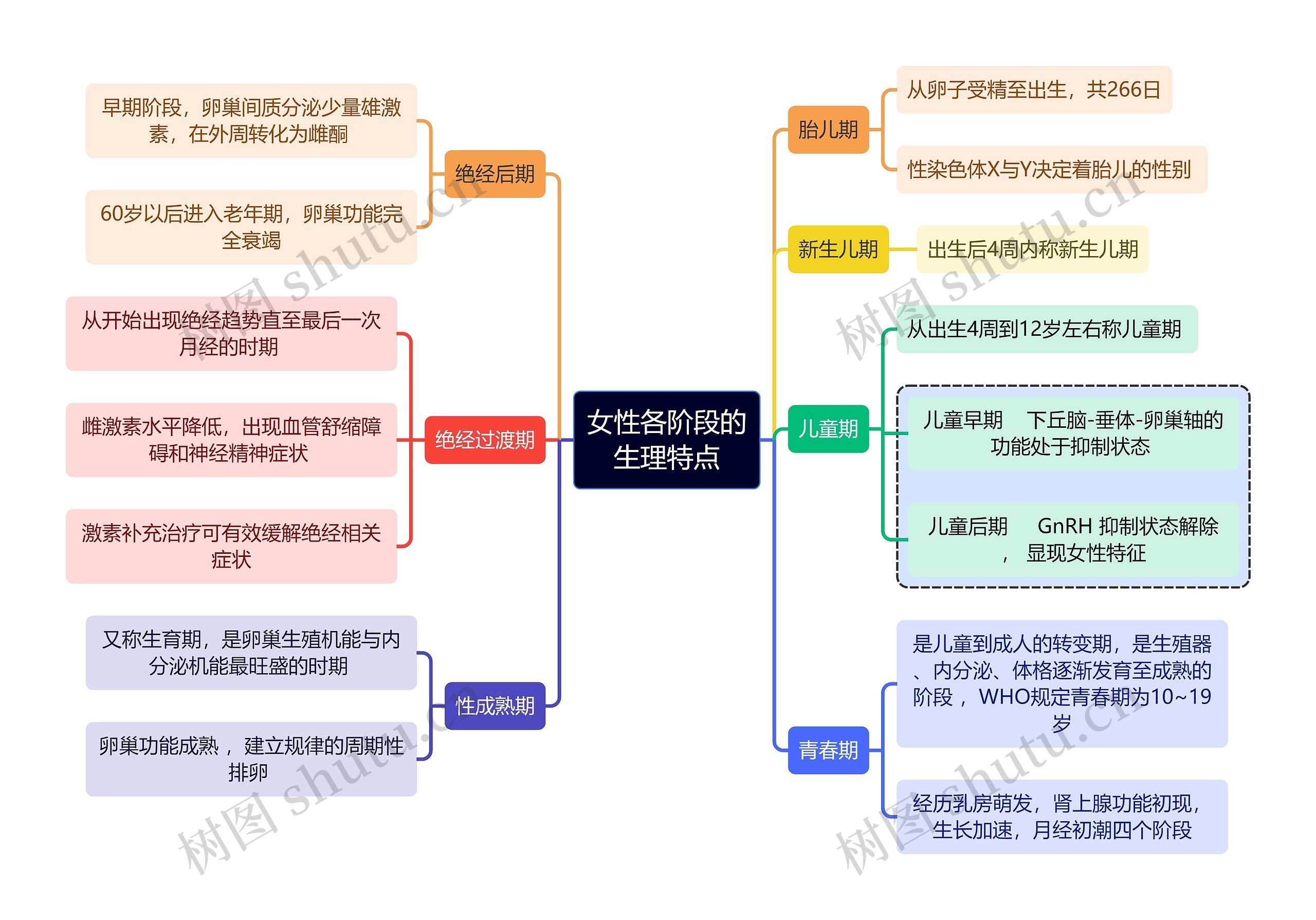 女性各阶段的
生理特点思维导图