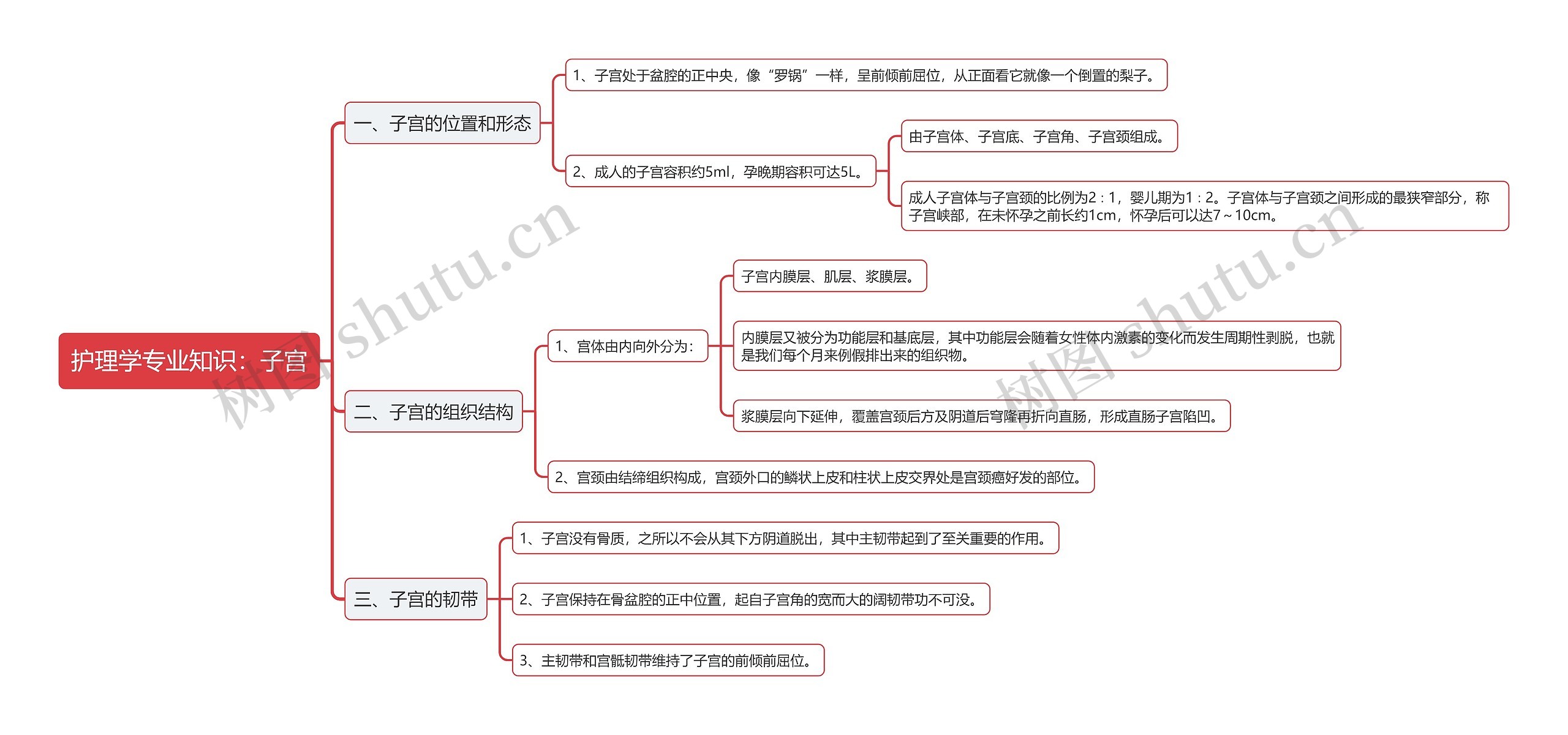 护理学专业知识：子宫思维导图