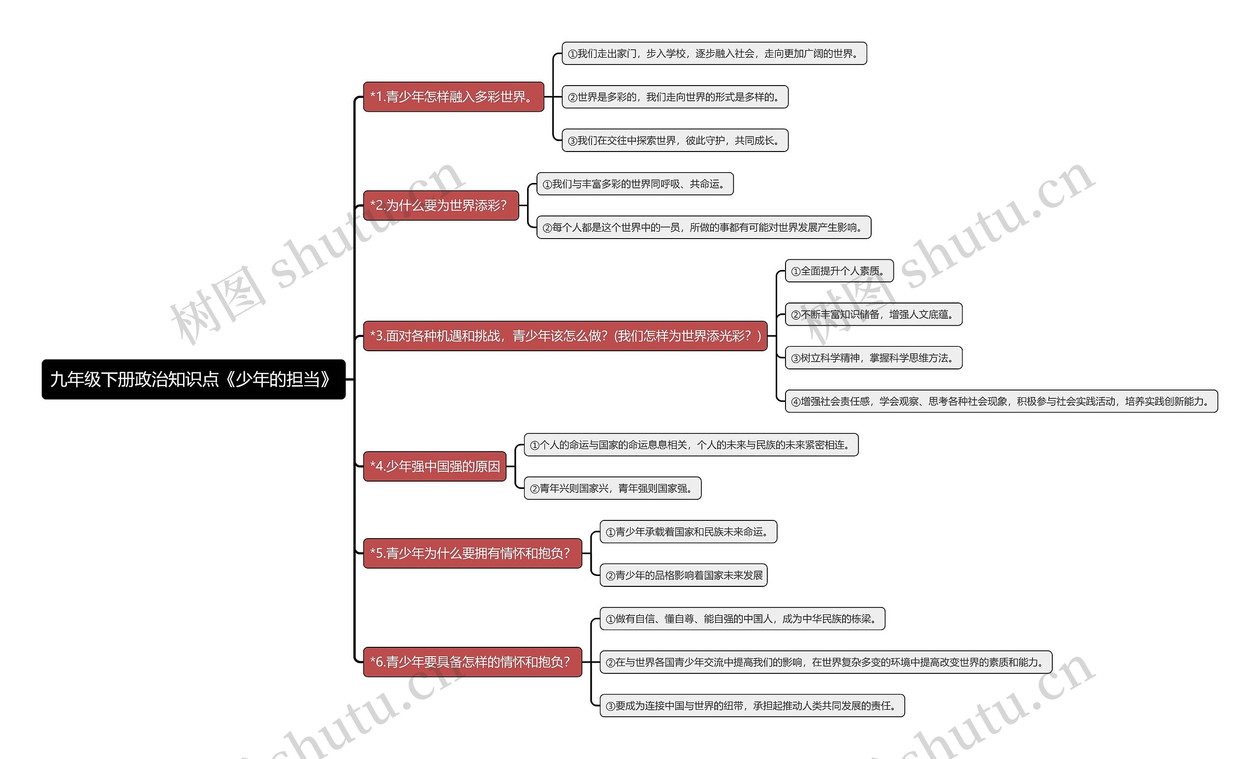 九年级下册政治知识点《少年的担当》思维导图