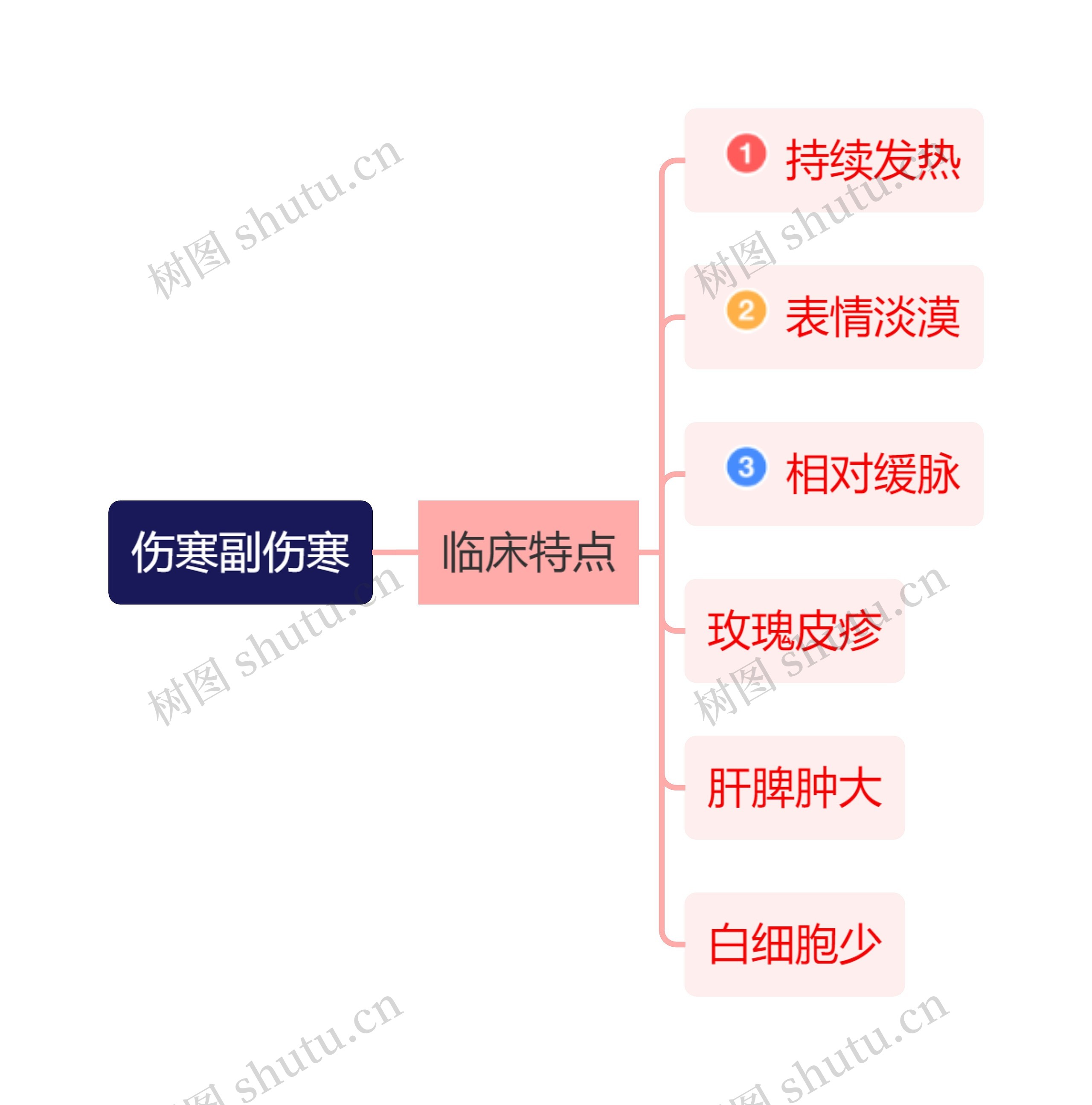 医学知识伤寒临床特点思维导图