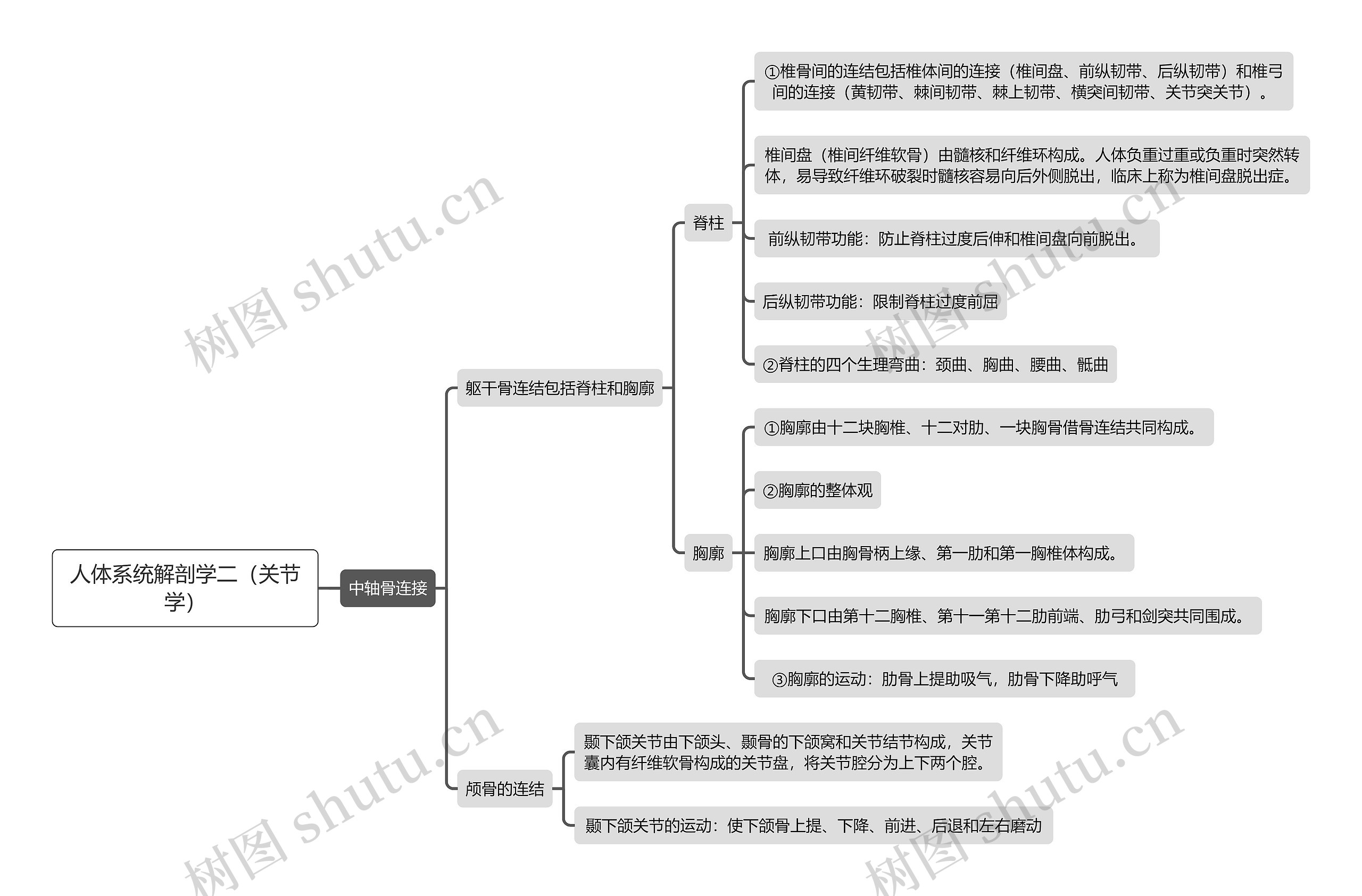 《人体系统解剖学二（关节学）中轴骨连接》思维导图