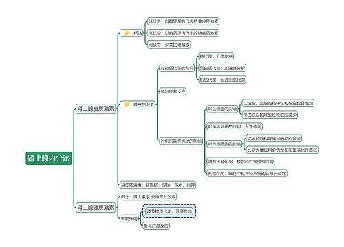《肾上腺内分泌》思维导图