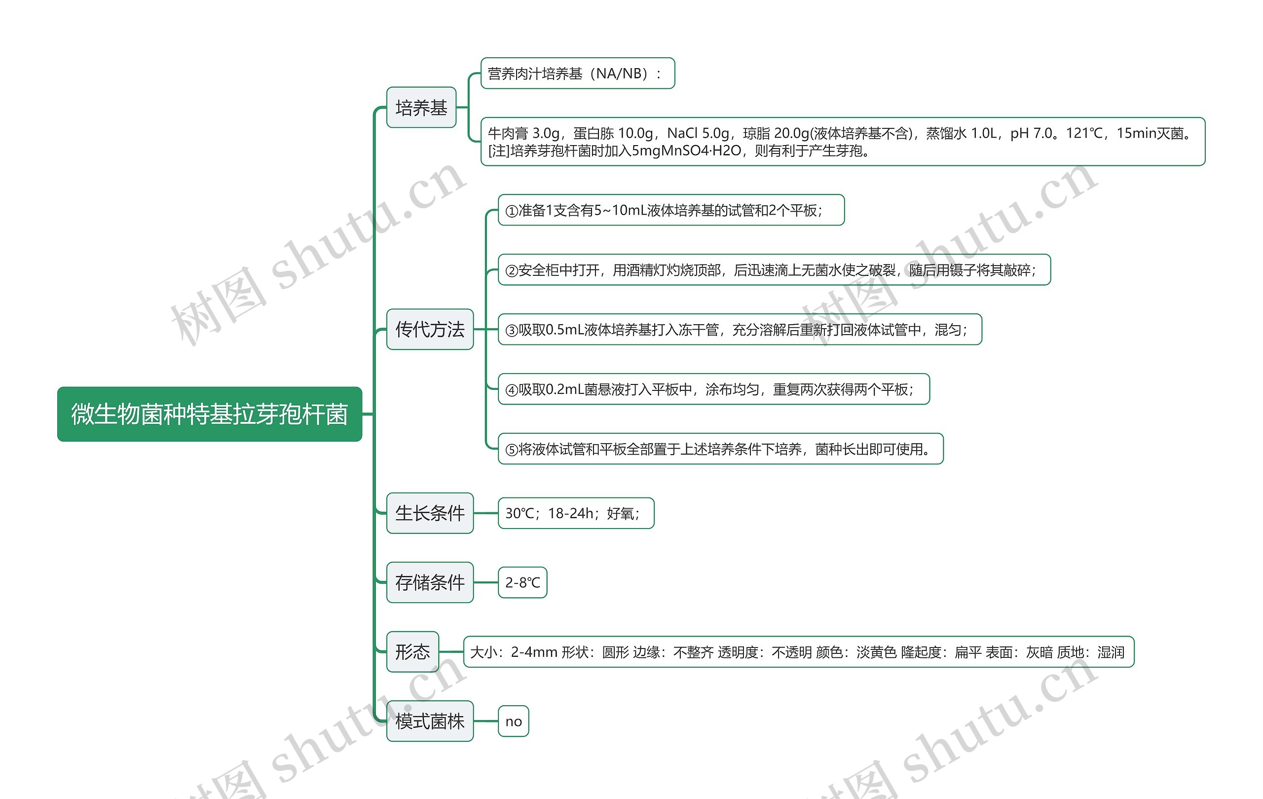 微生物菌种特基拉芽孢杆菌思维导图